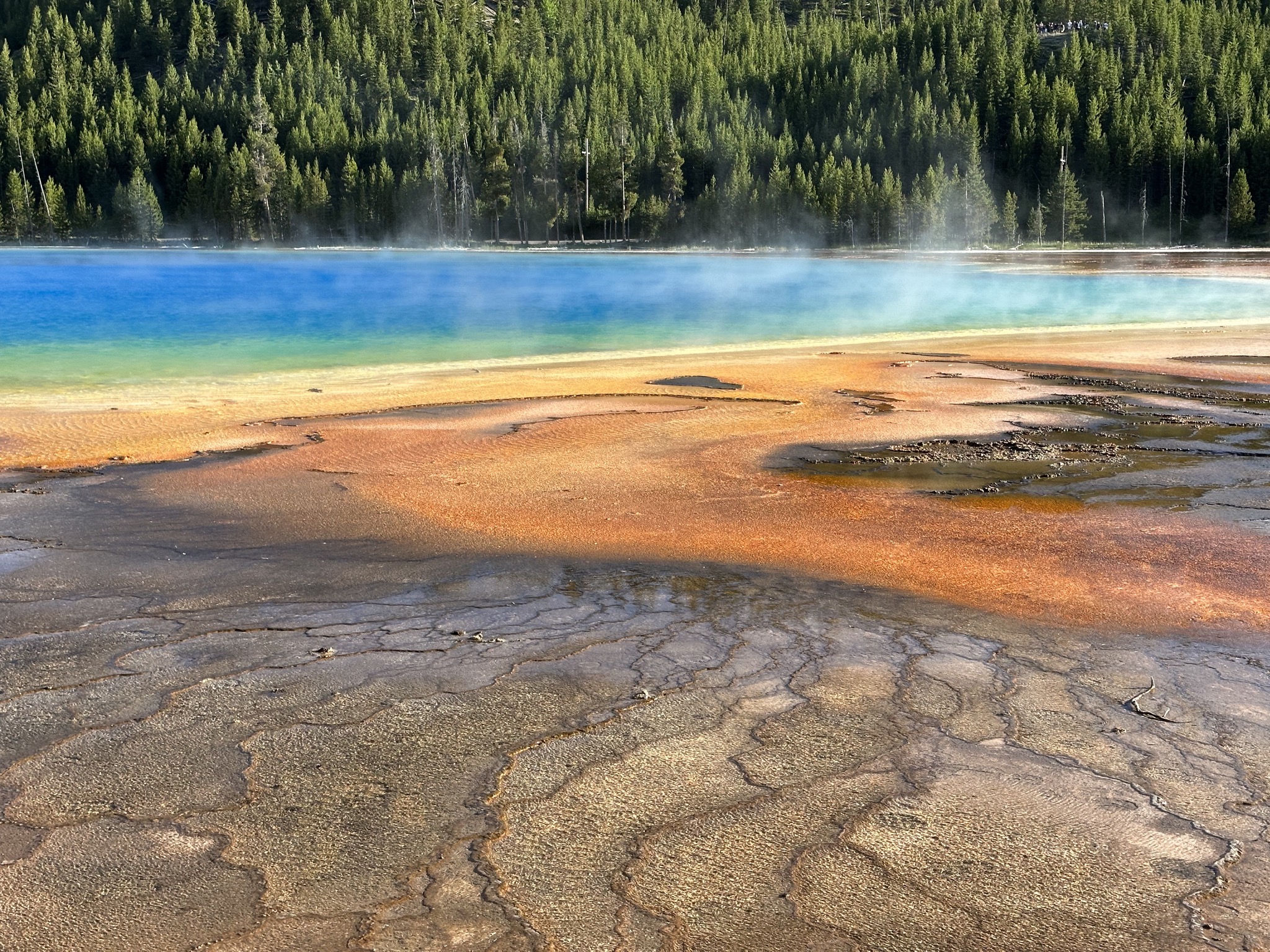 Grand Prismatic Spring