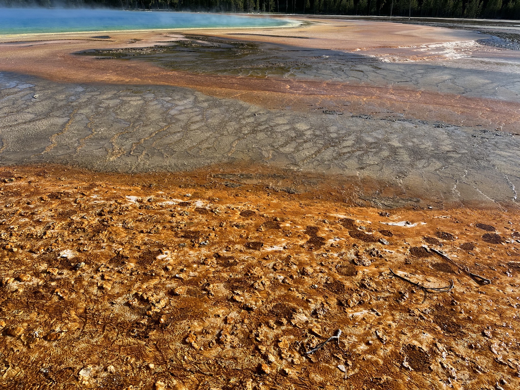 Grand Prismatic Spring