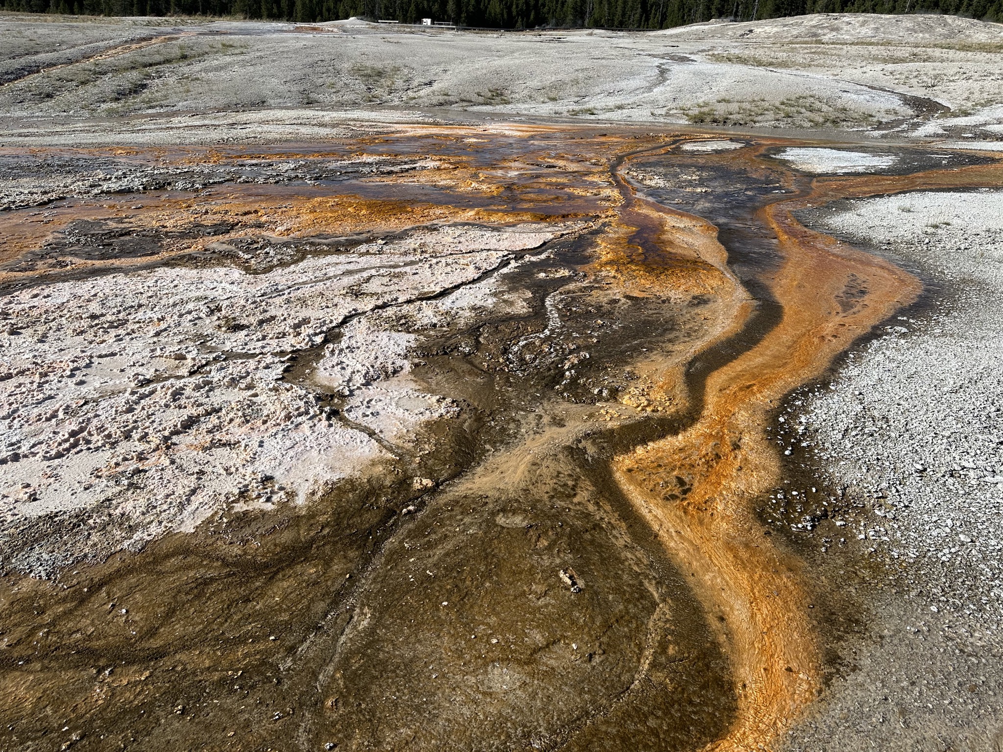 Geyser
