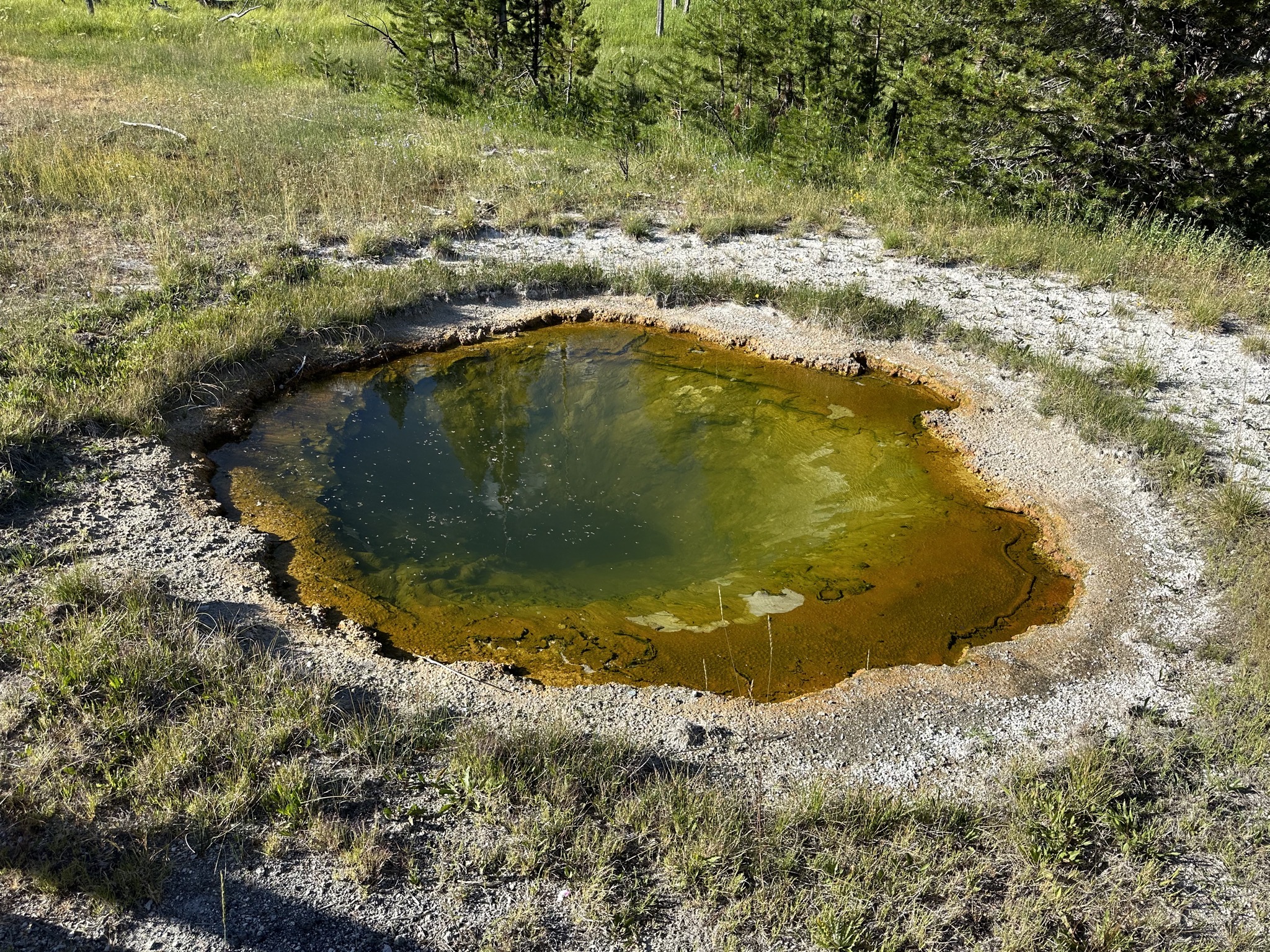 Geyser