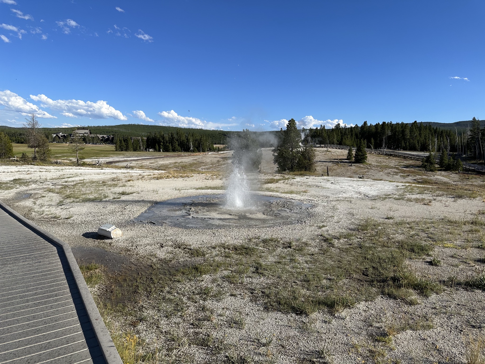 Geyser