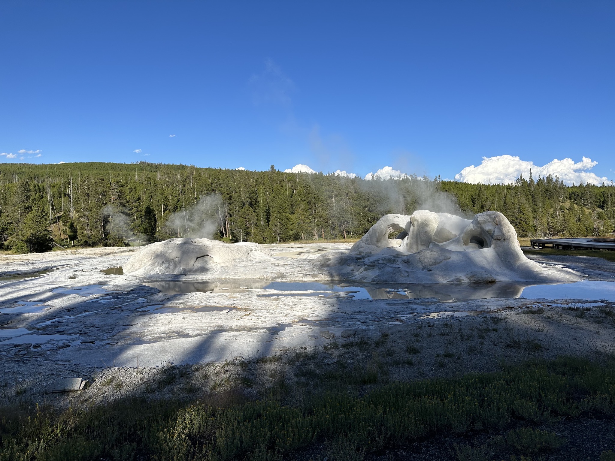 Geyser