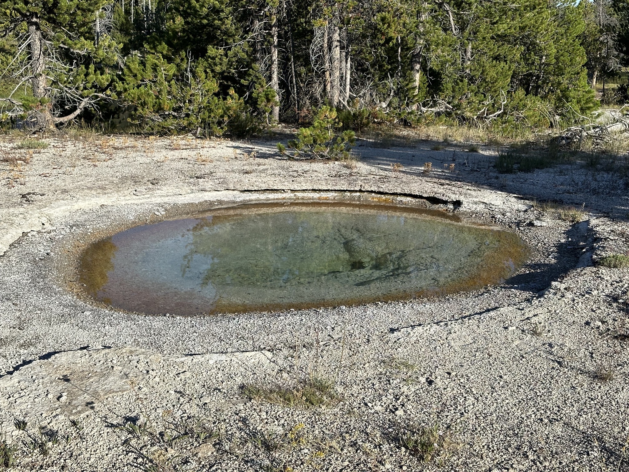 Geyser