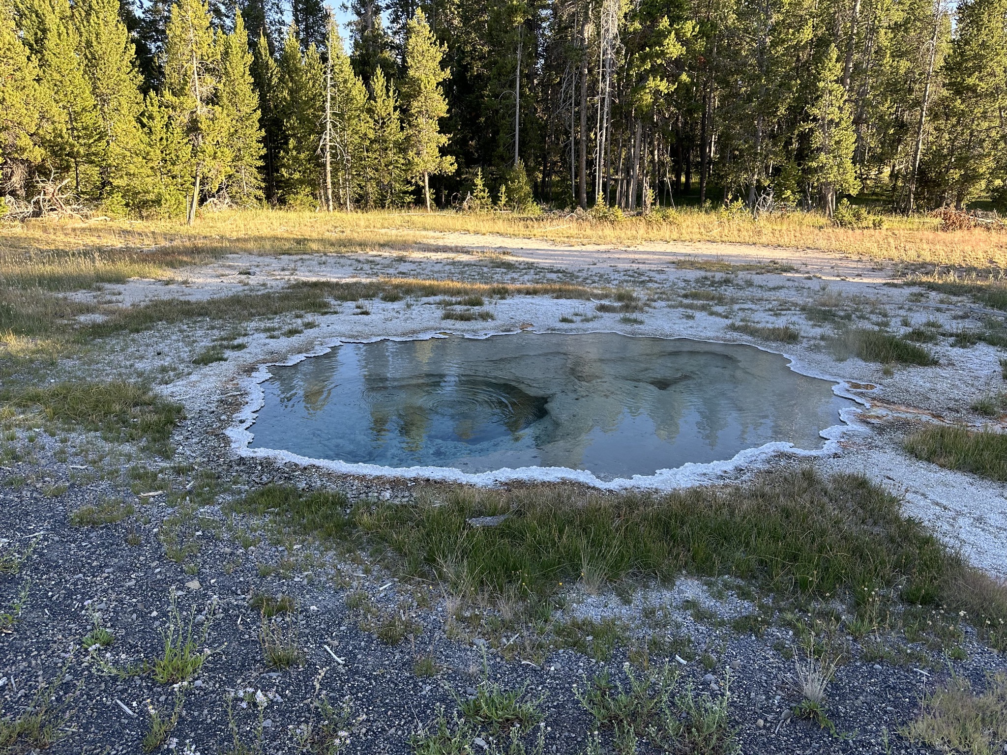 Geyser
