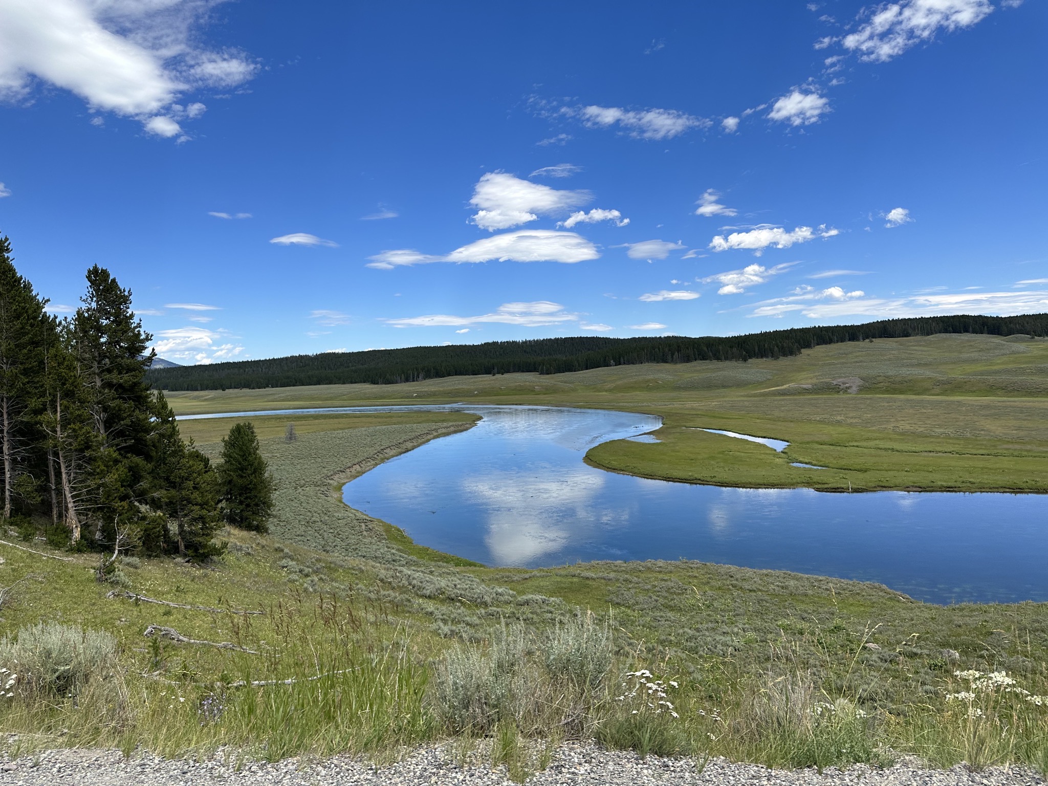 Hayden Valley