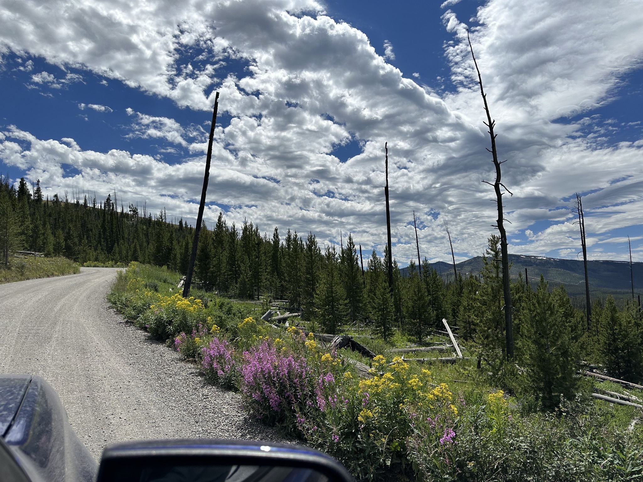 Mount Washburn