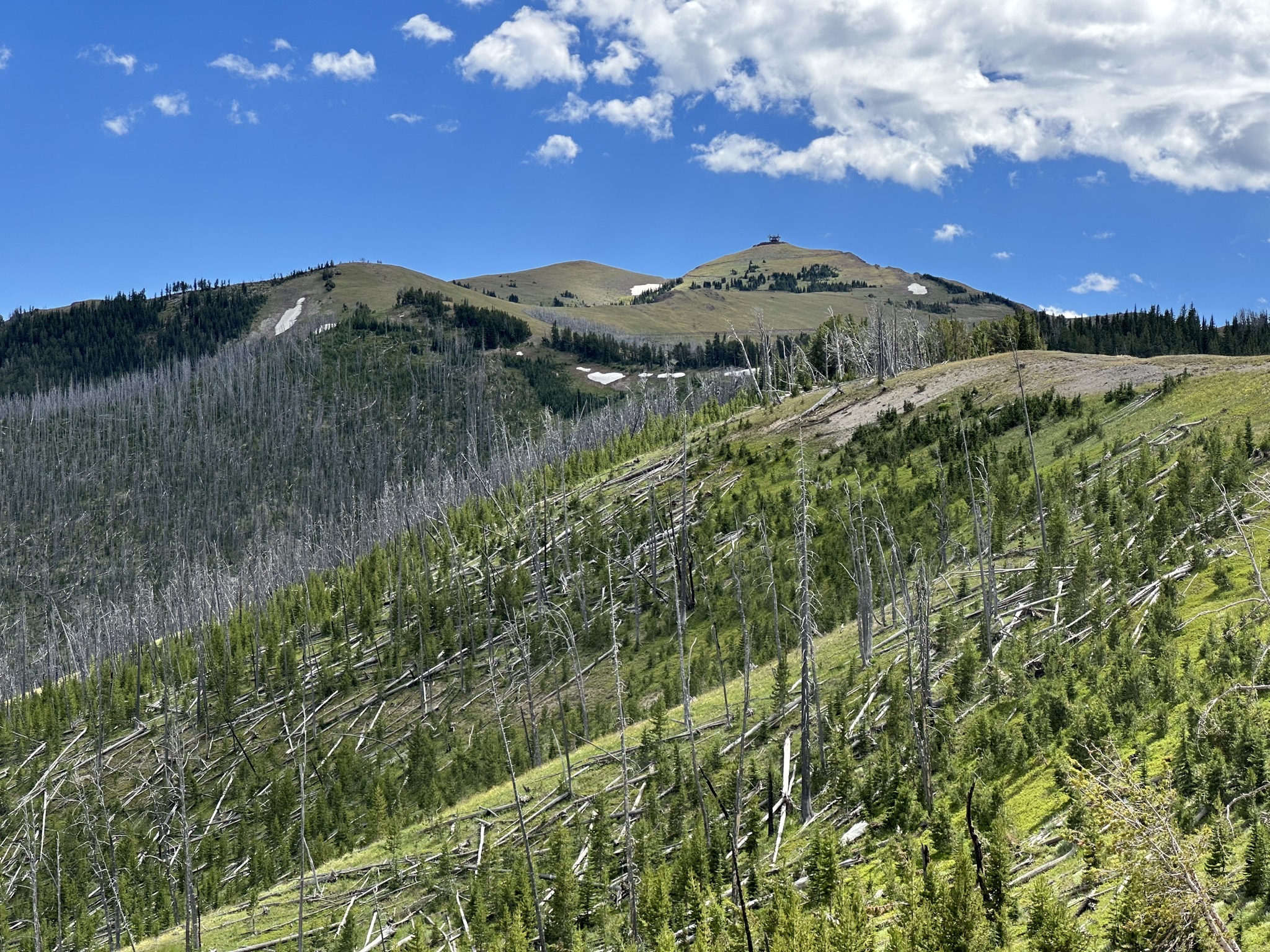 Mount Washburn