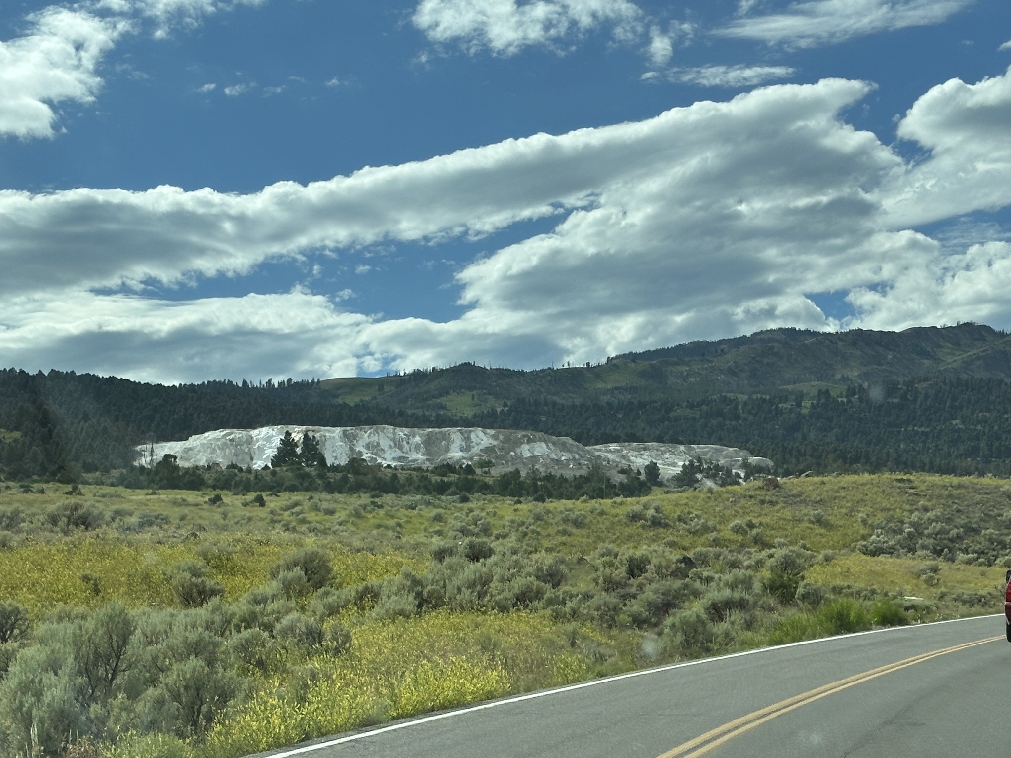 Mammoth