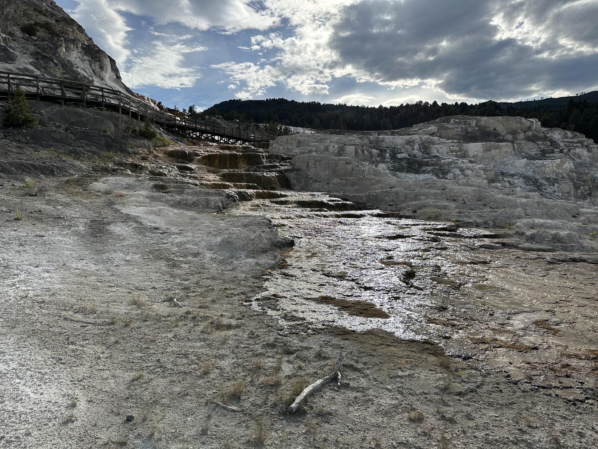 Mammoth