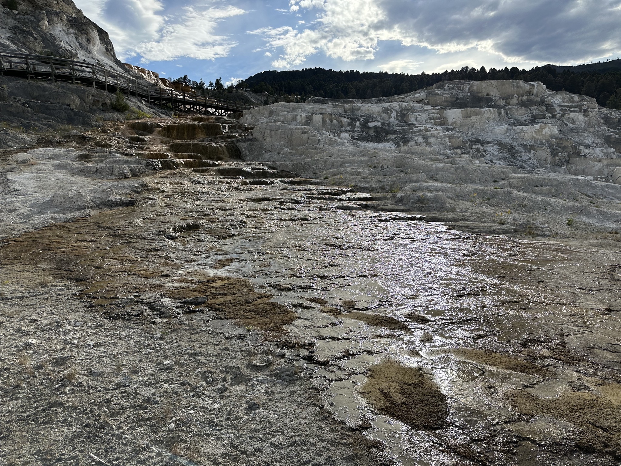 Mammoth