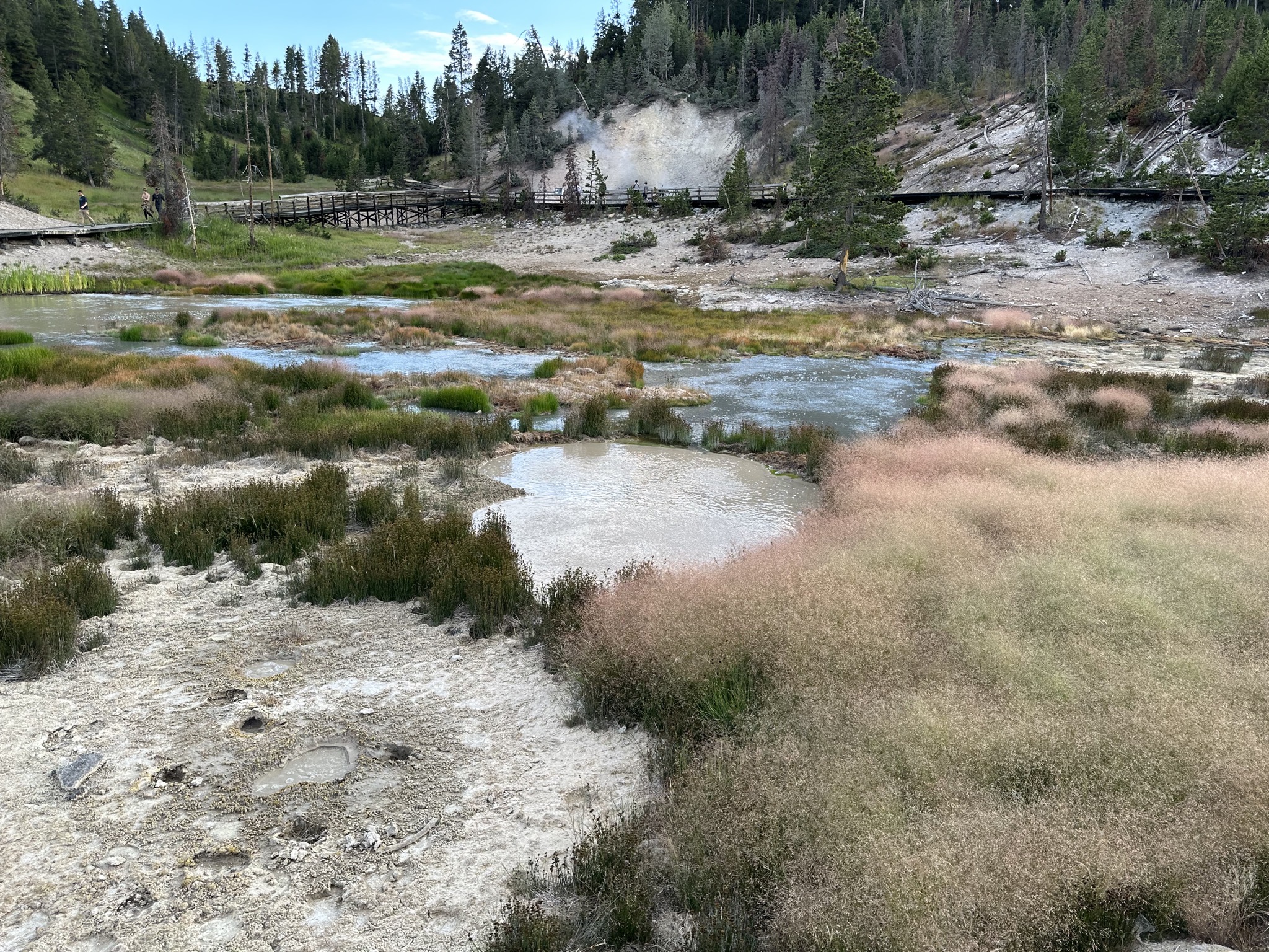 Mud Volcano area