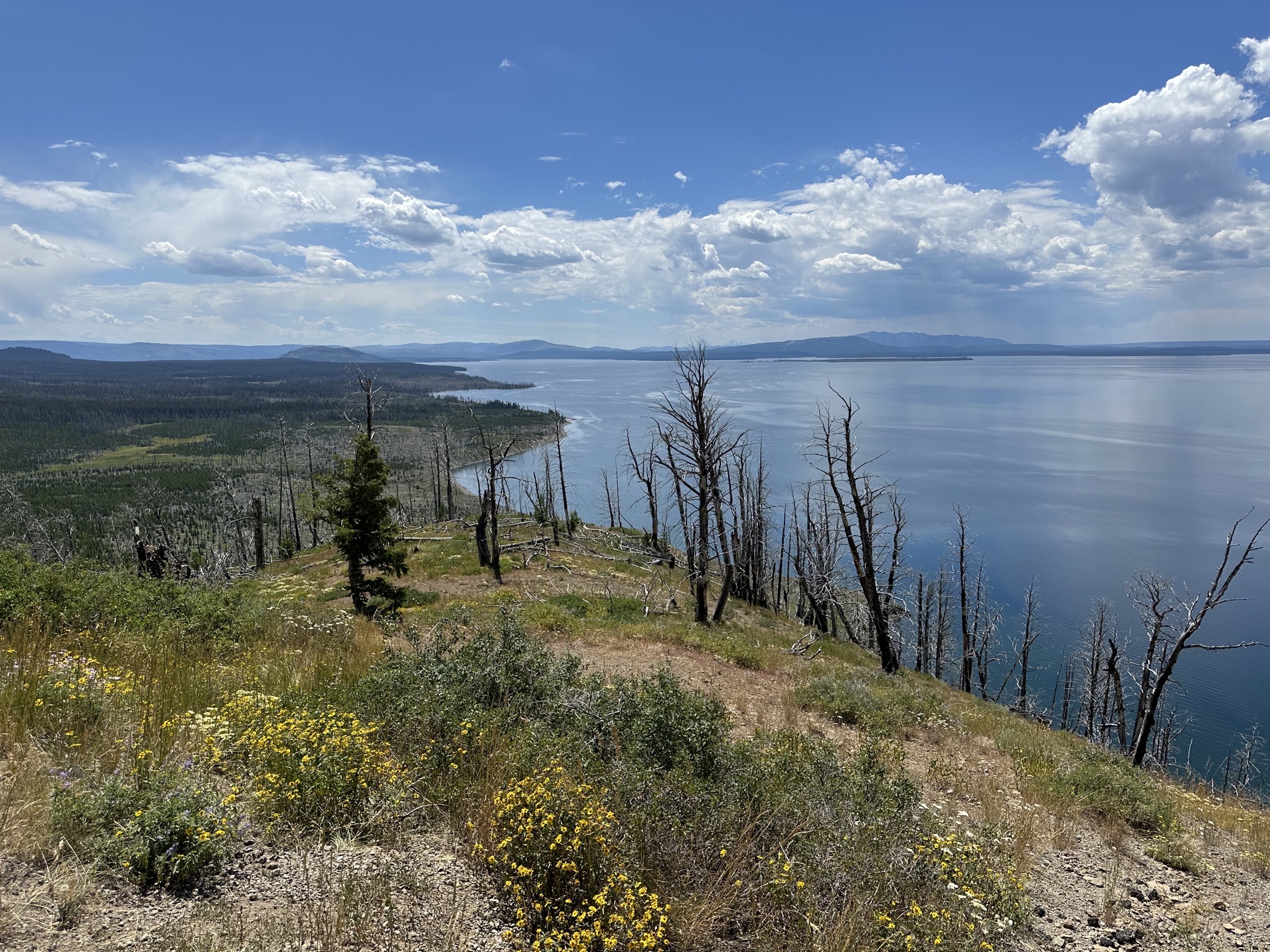 Yellowstone Lake