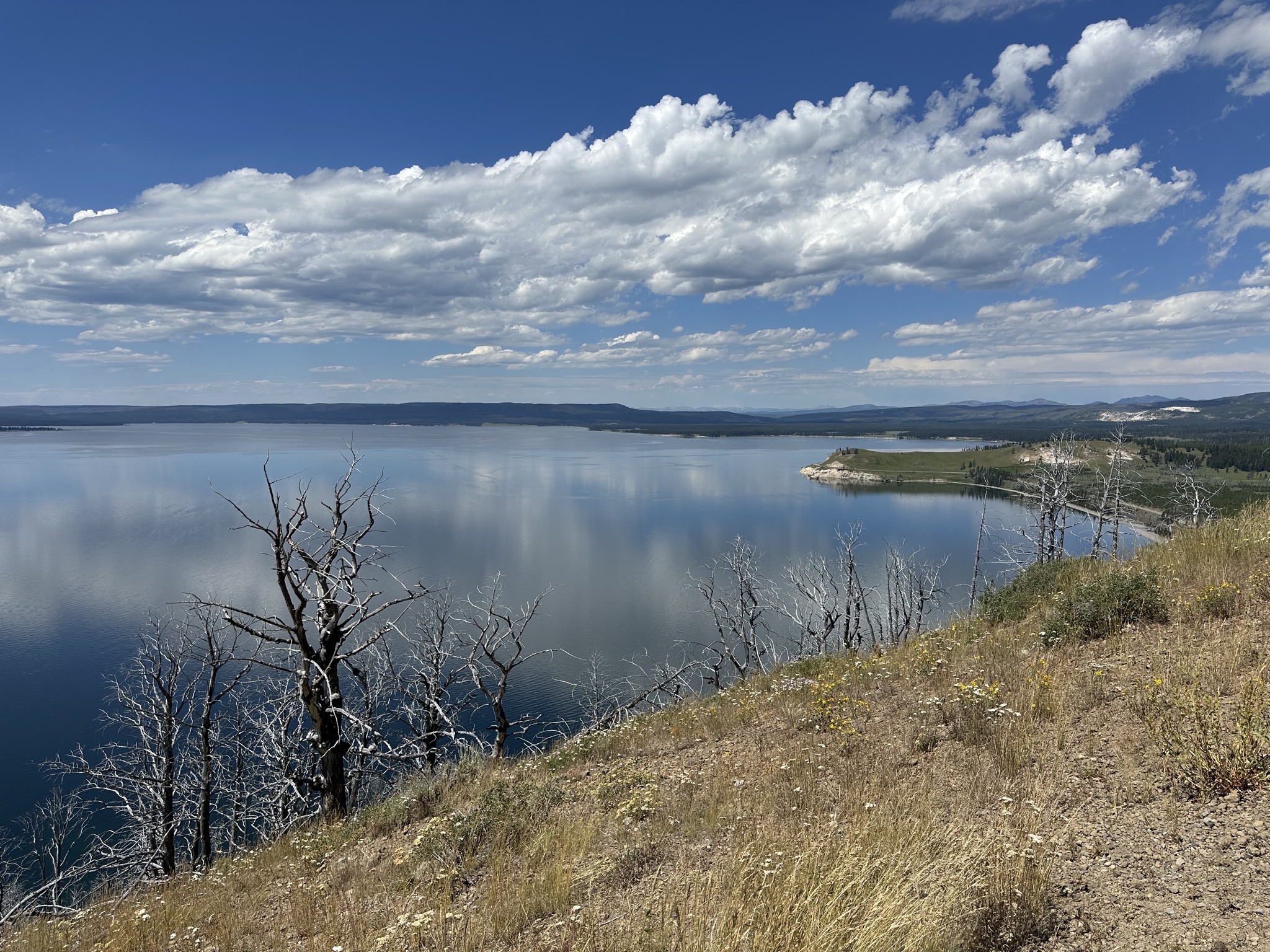 Yellowstone Lake