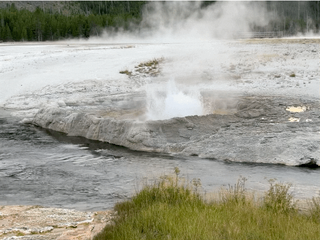 Geyser
