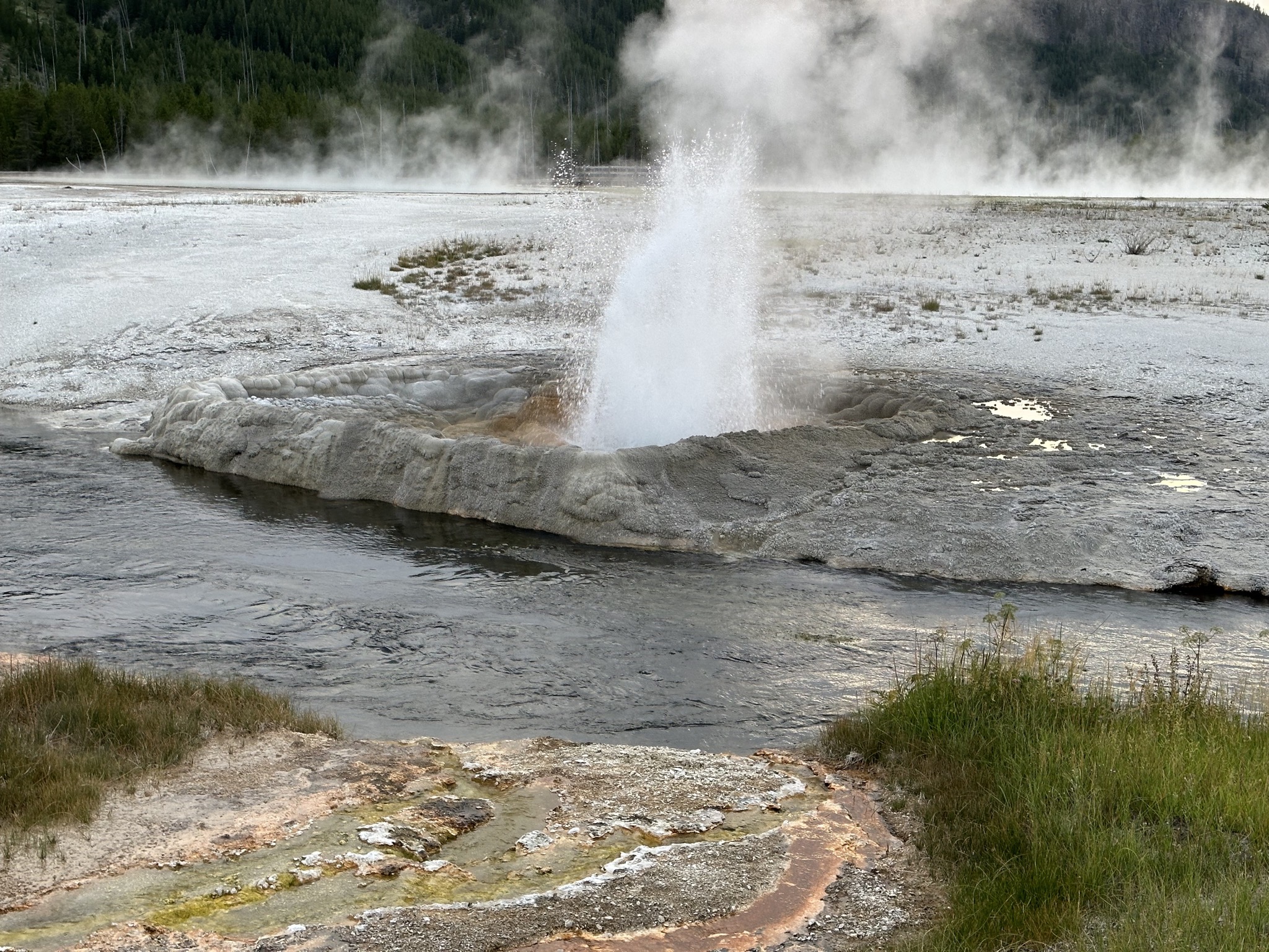 Geyser
