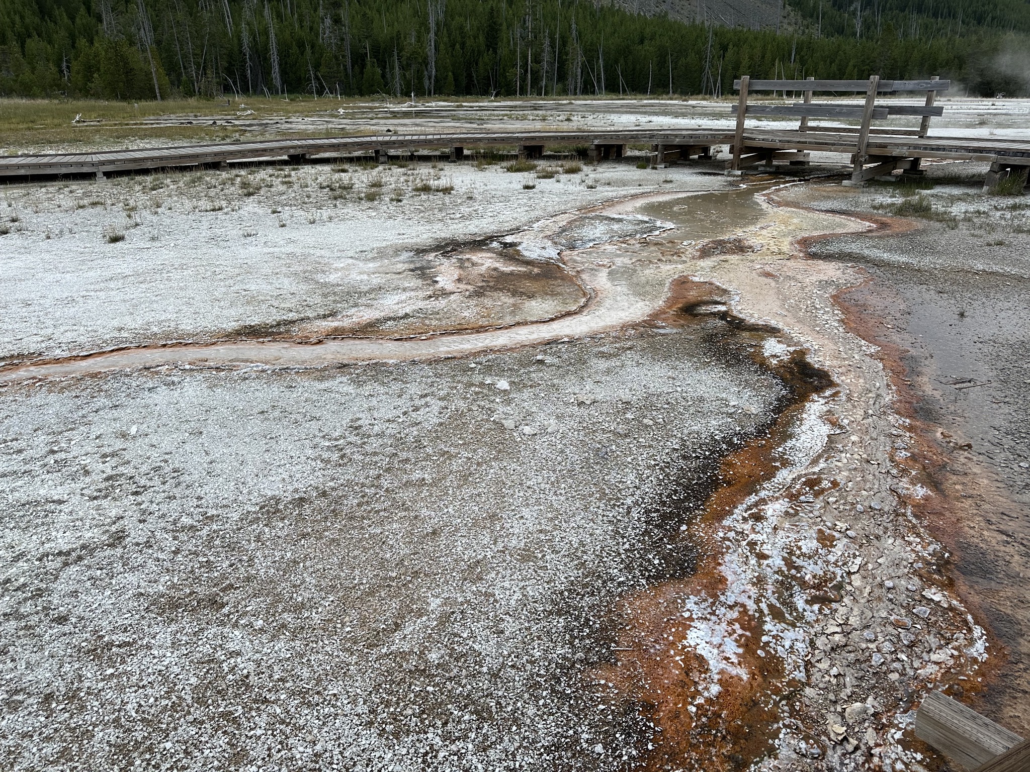 Geyser