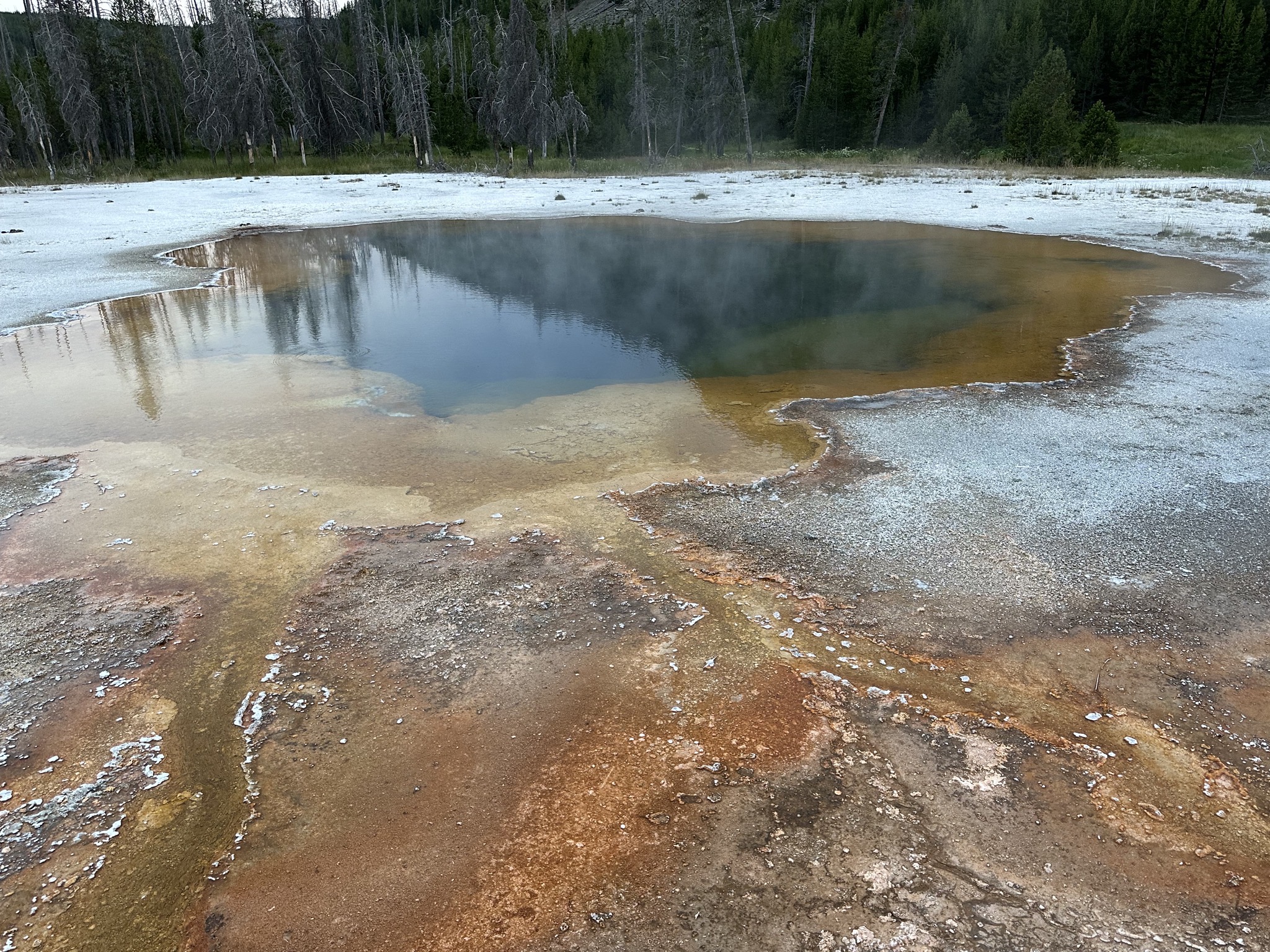 Geyser