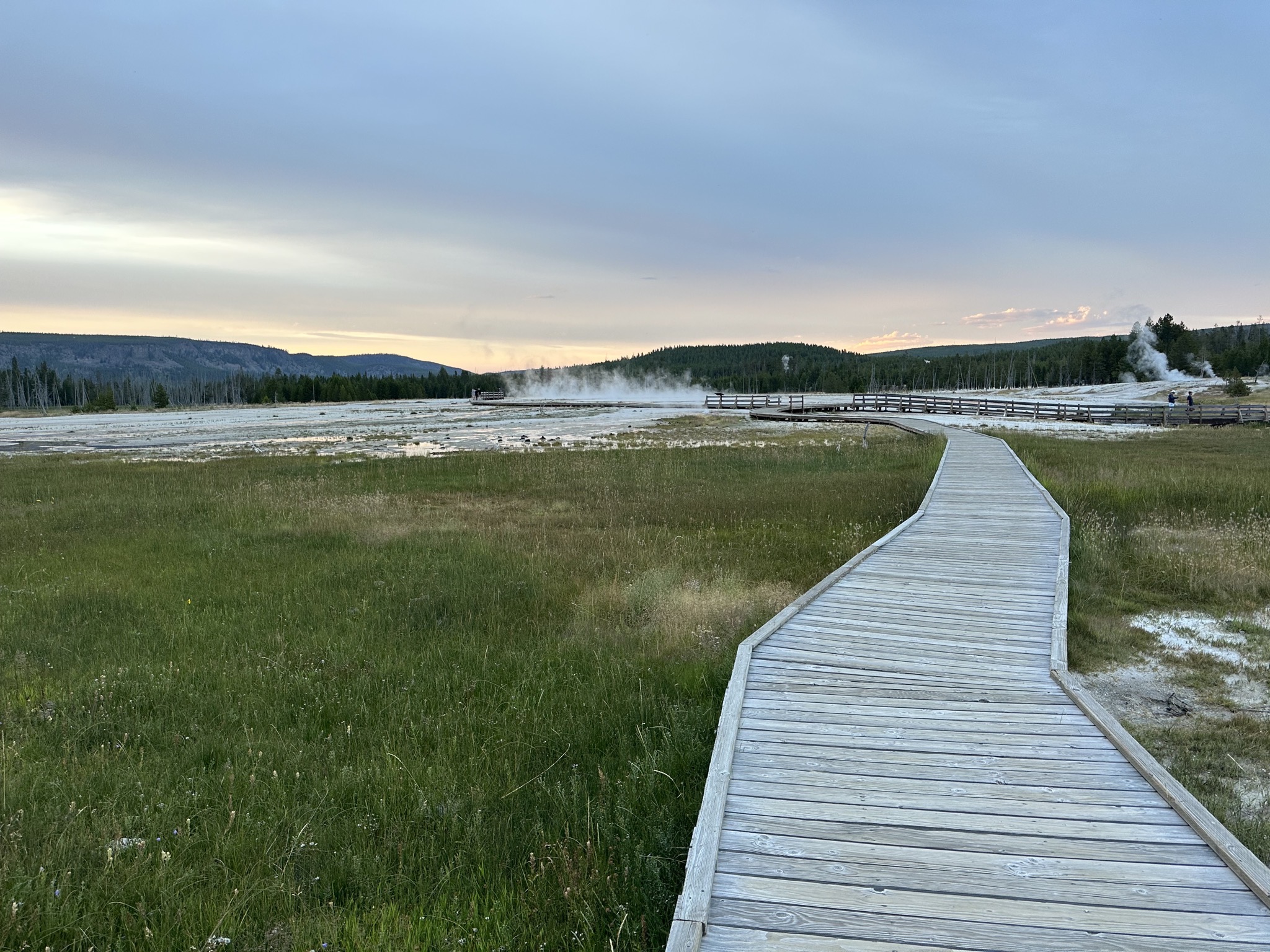 Geyser