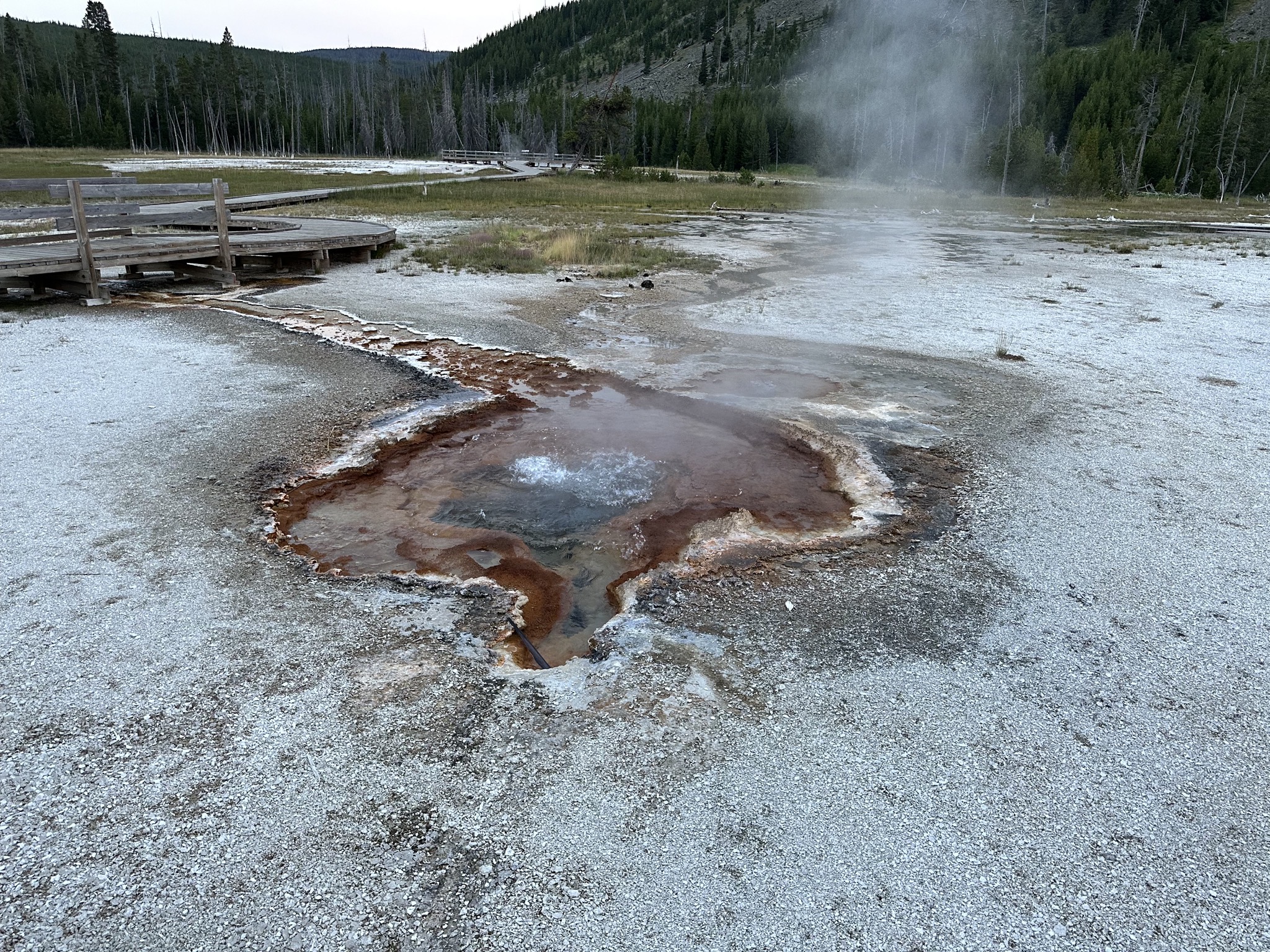 Geyser
