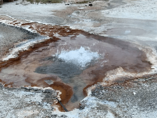 Geyser