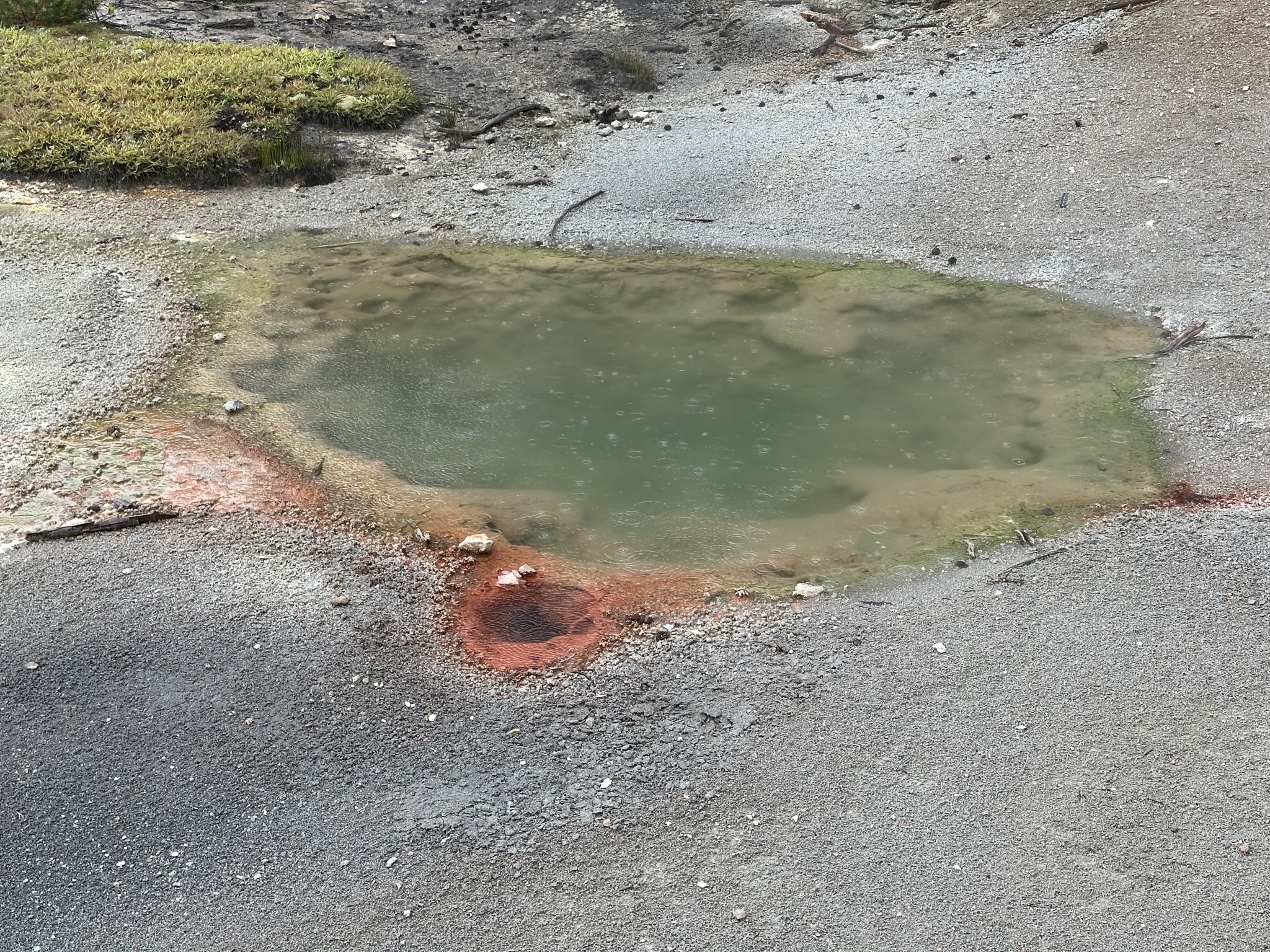 Artists' Paintpots