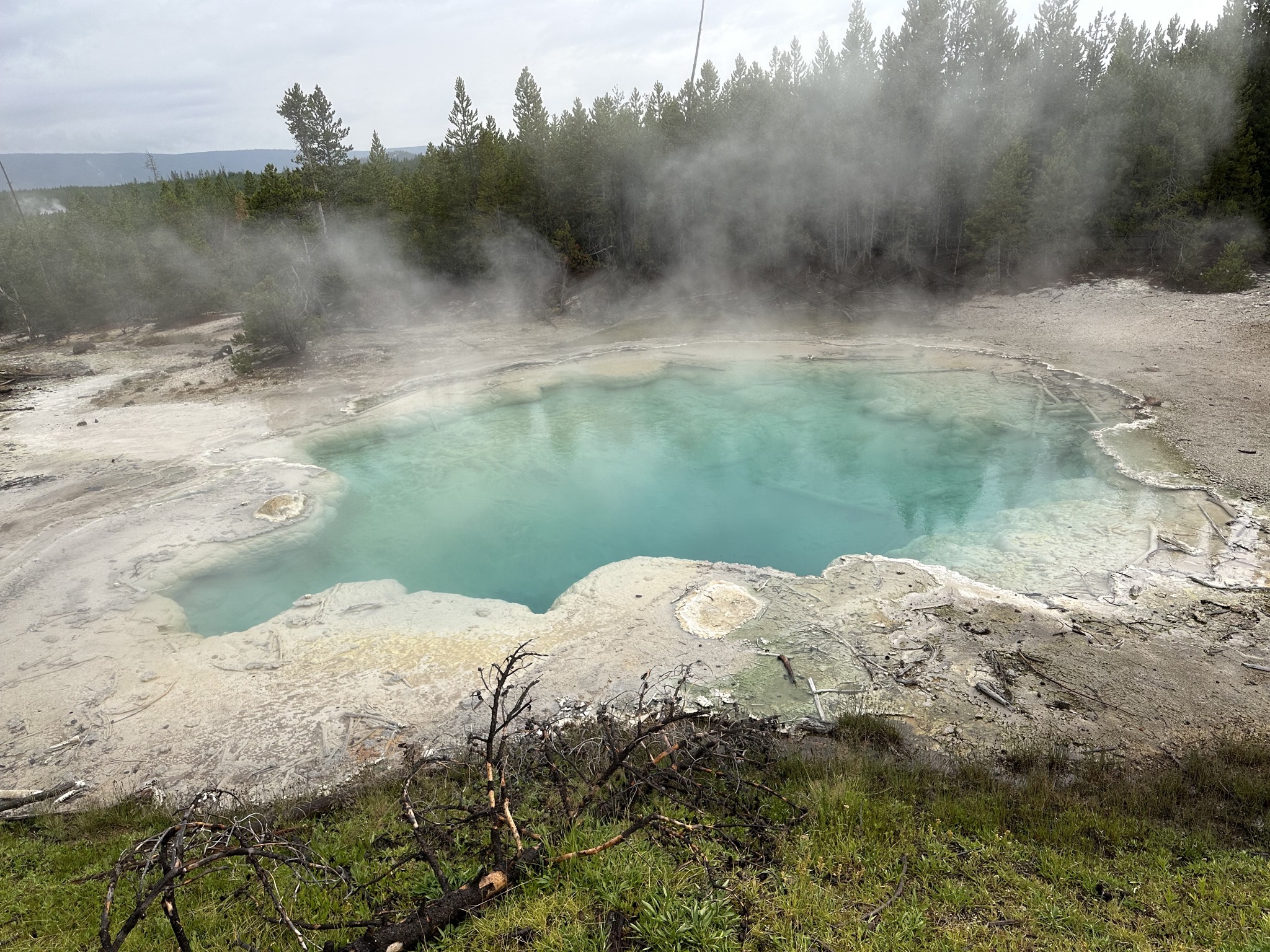 Norris Geyser Basin