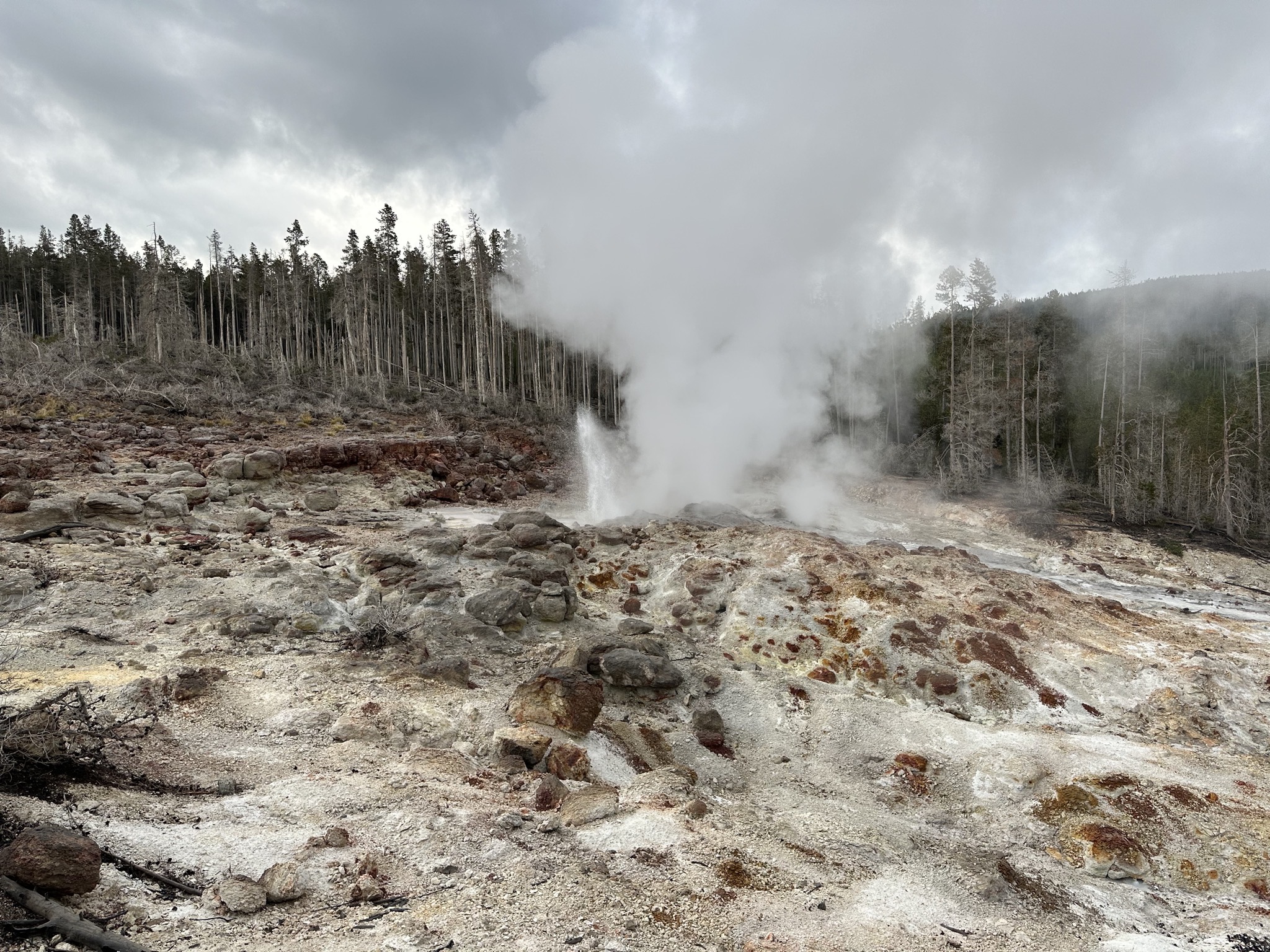 Norris Geyser Basin