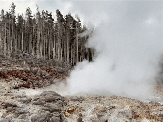 Norris Geyser Basin