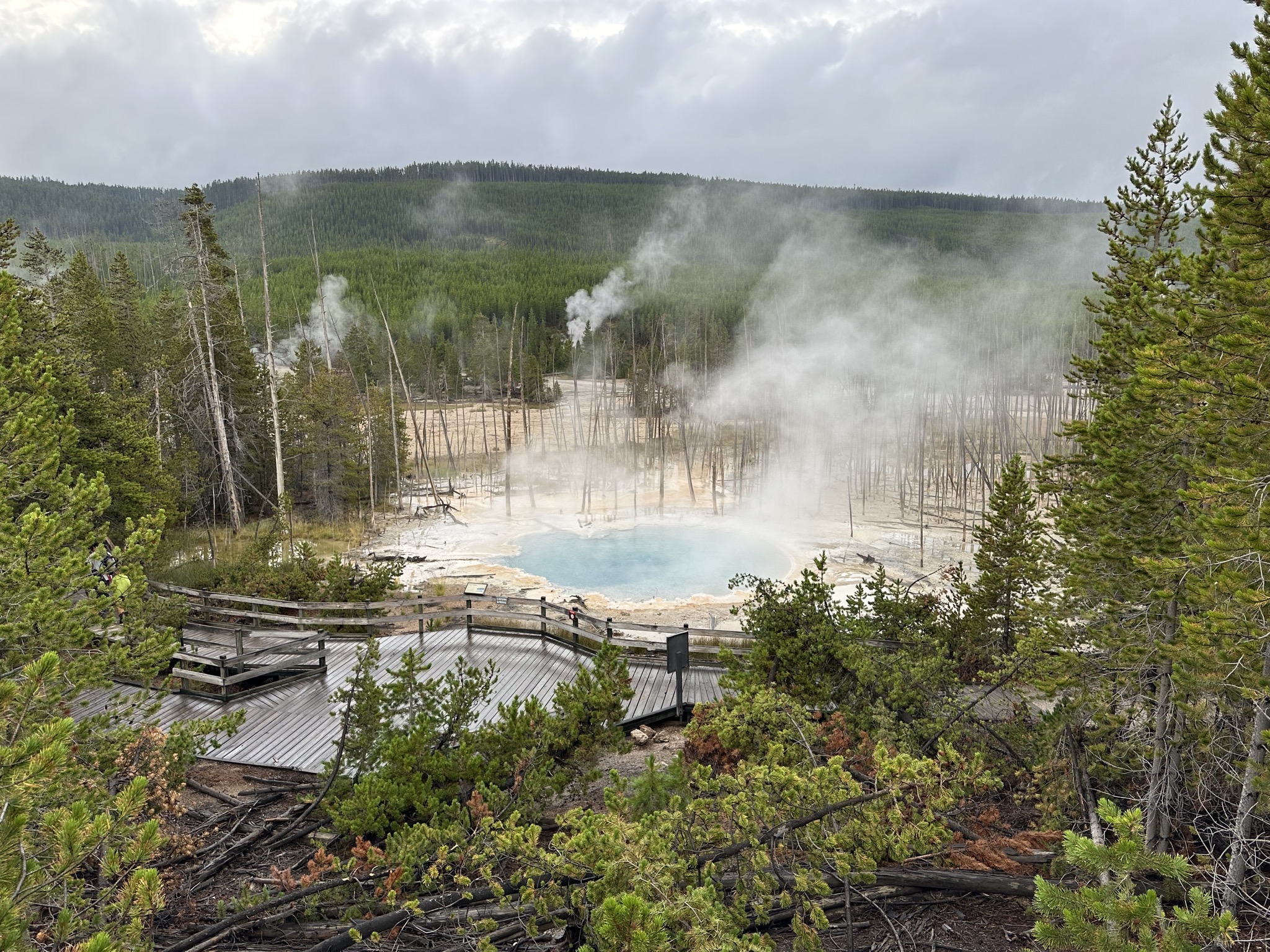 Norris Geyser Basin