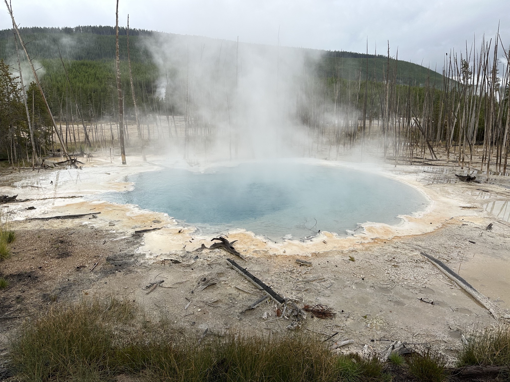 Norris Geyser Basin