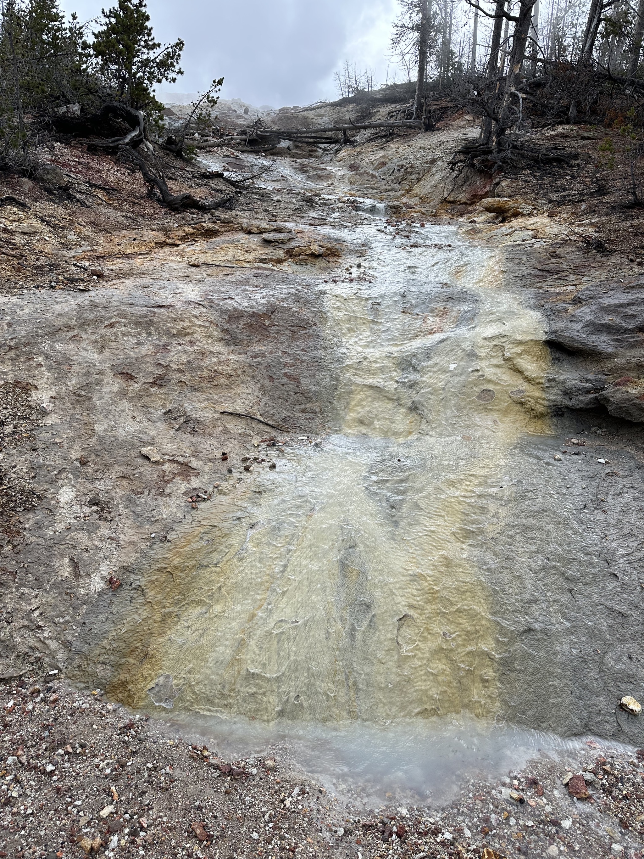 Norris Geyser Basin