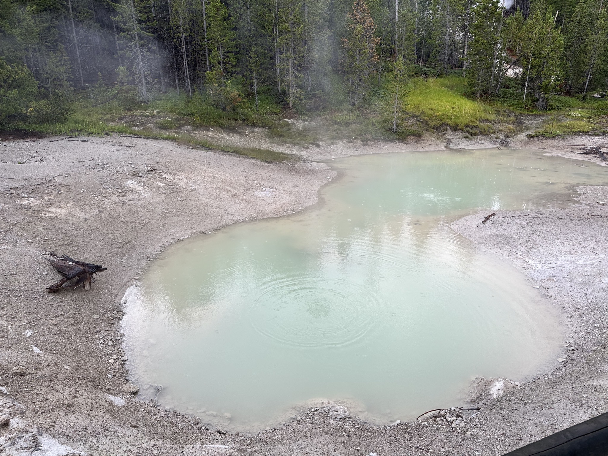 Norris Geyser Basin