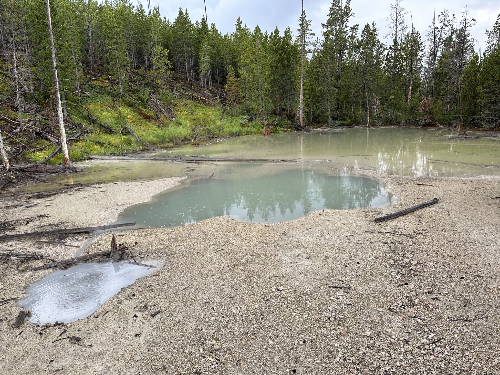 Norris Geyser Basin