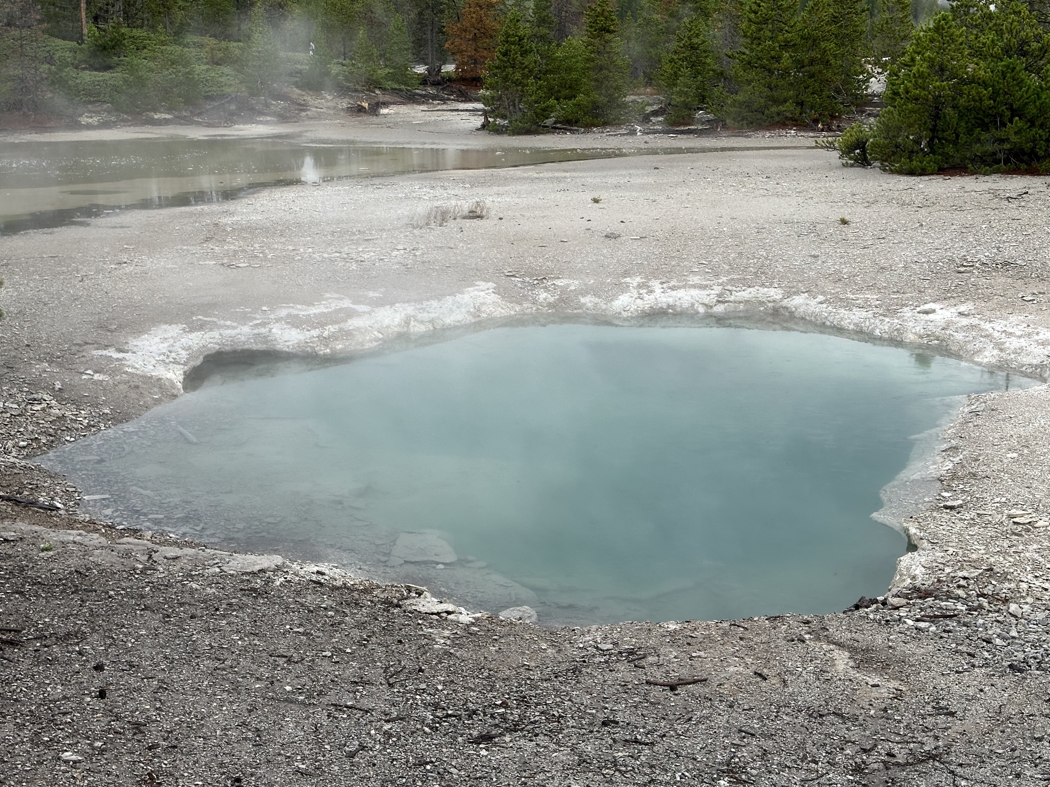 Norris Geyser Basin