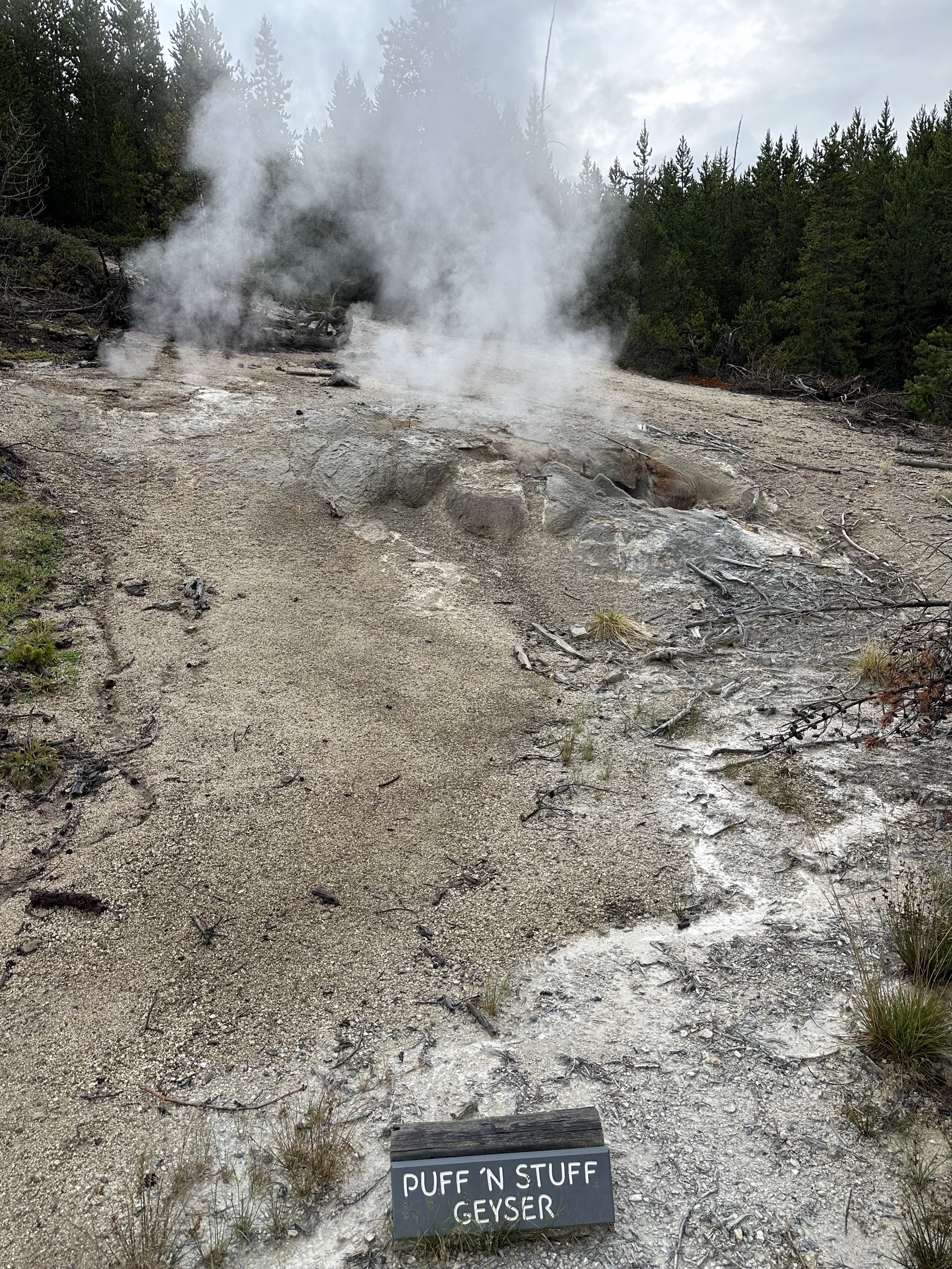 Norris Geyser Basin