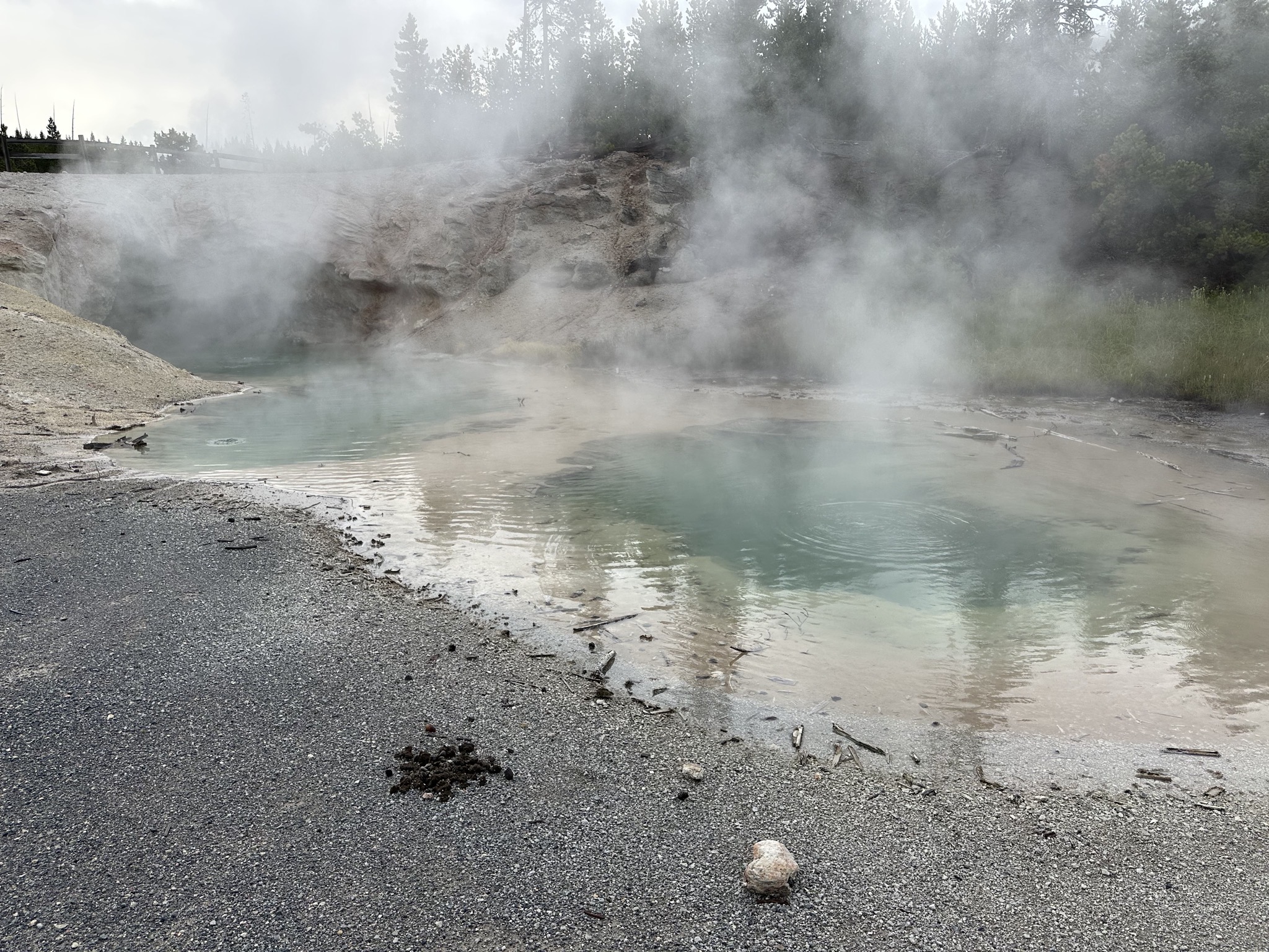 Norris Geyser Basin