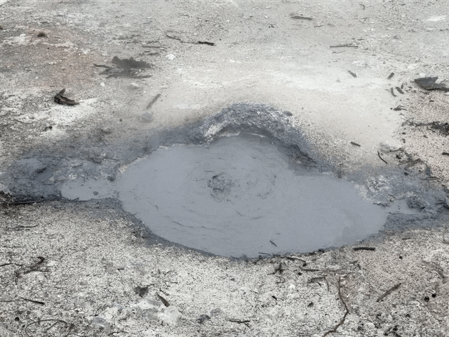 Norris Geyser Basin