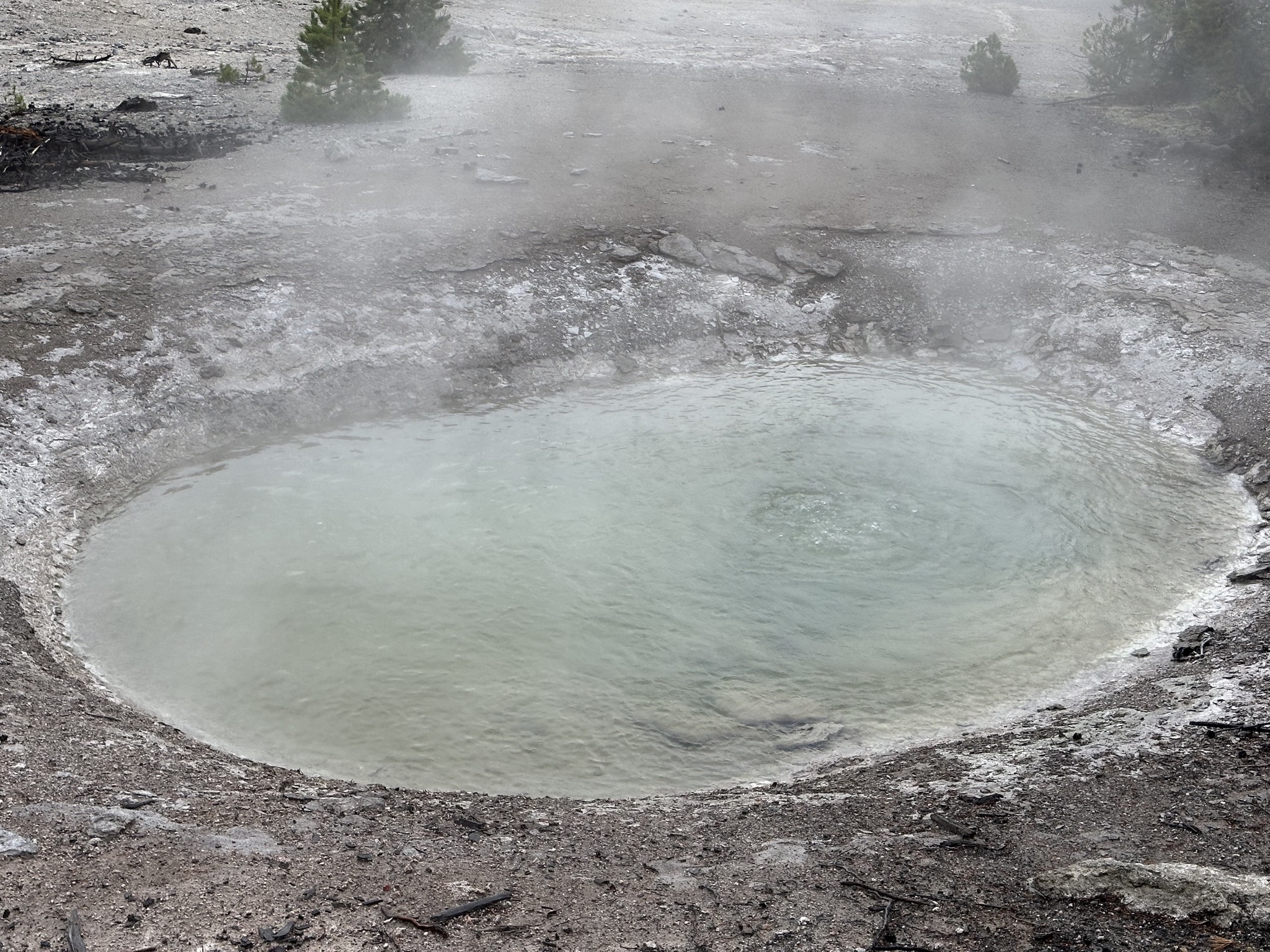 Norris Geyser Basin