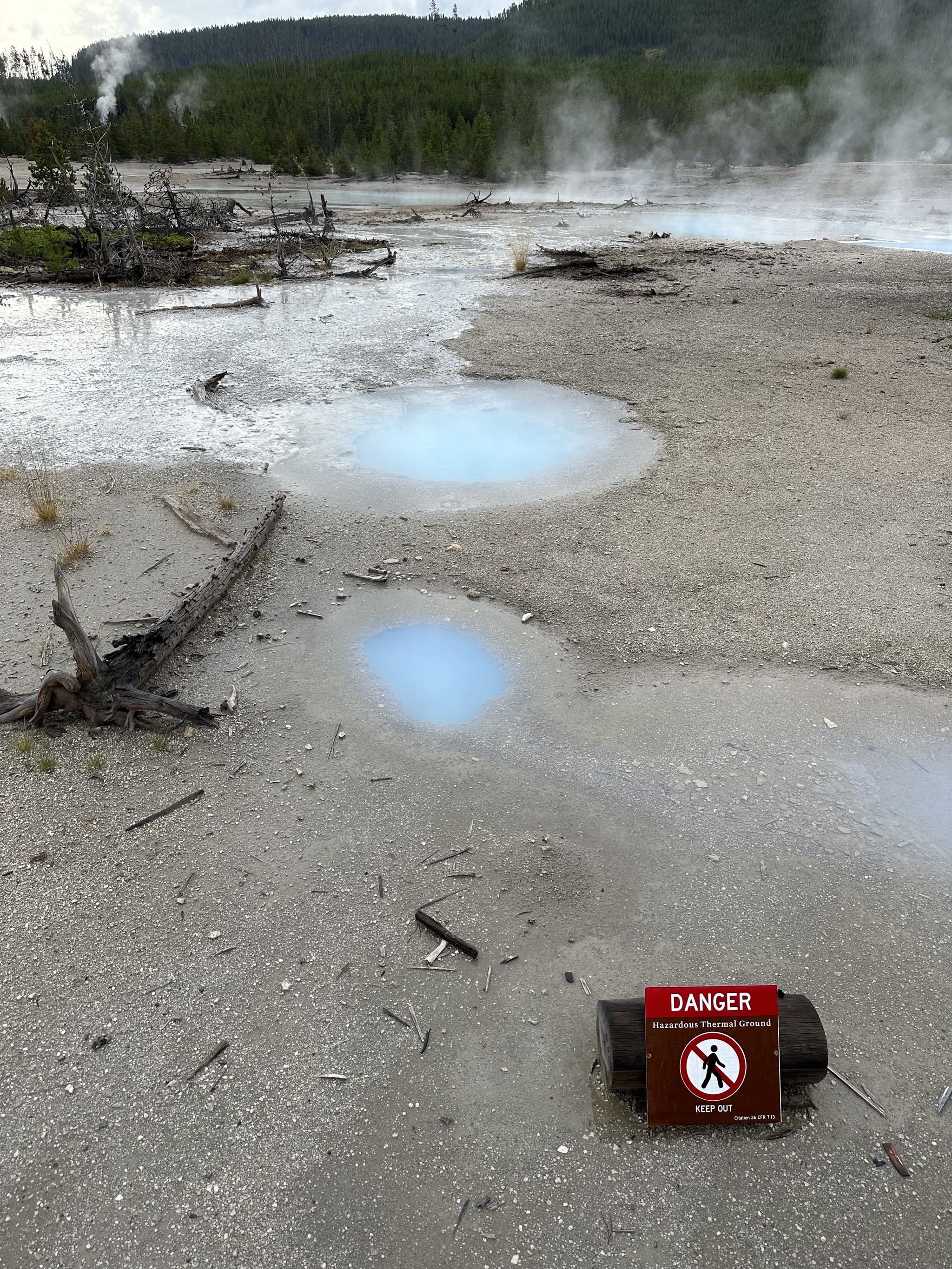 Norris Geyser Basin