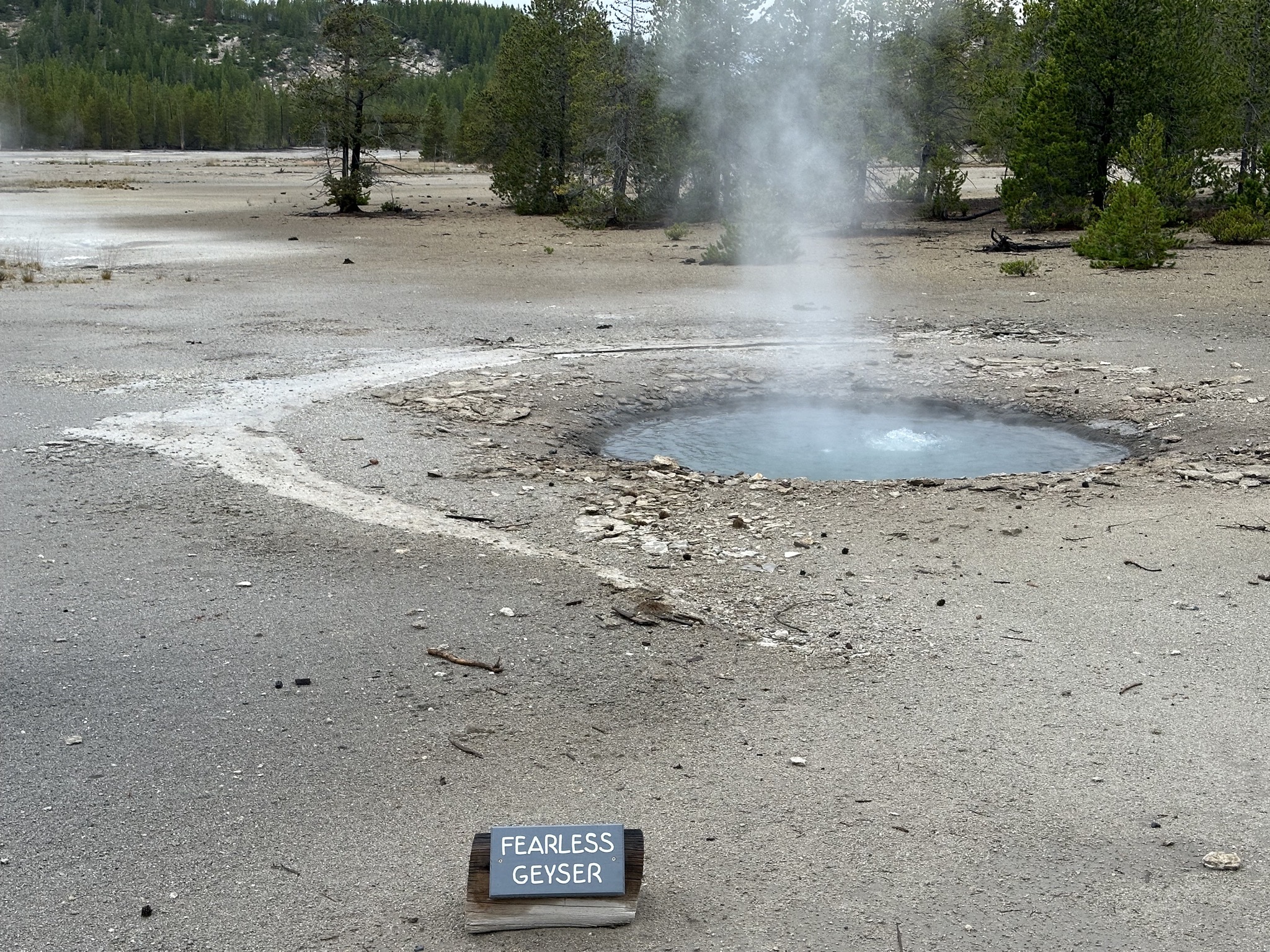Norris Geyser Basin