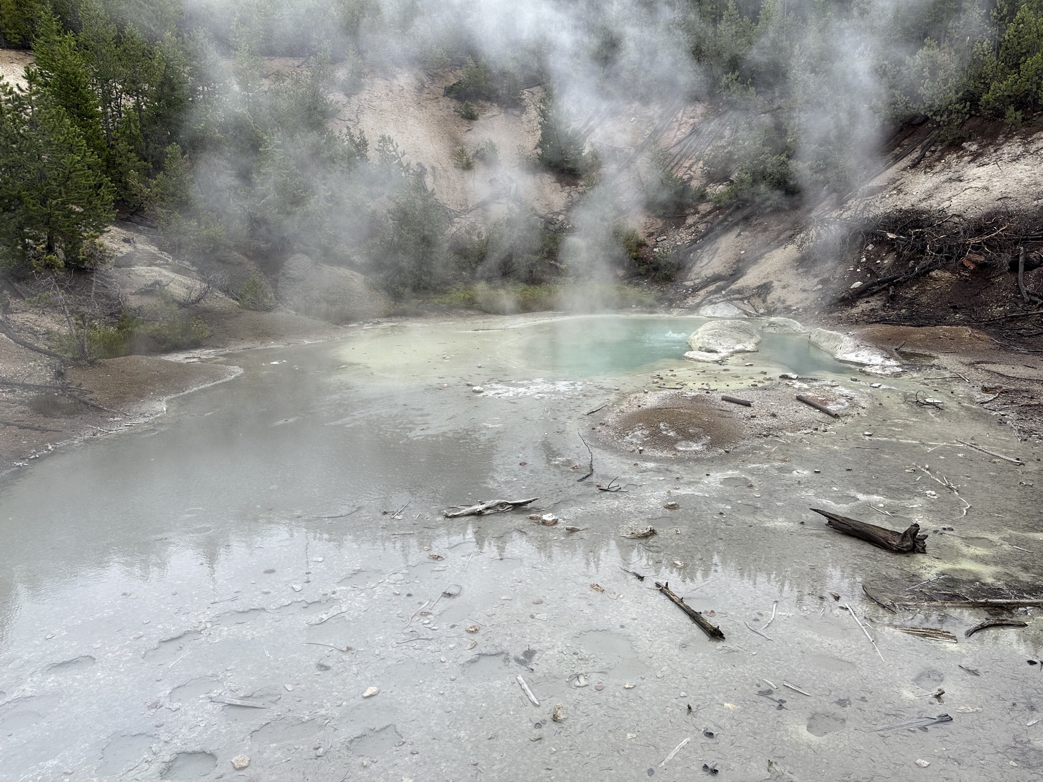Norris Geyser Basin