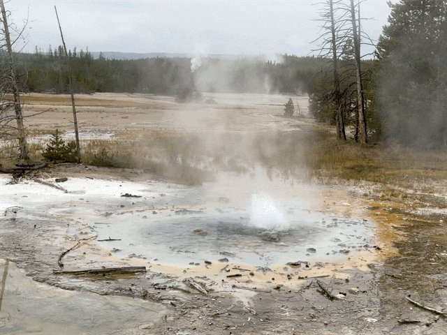 Norris Geyser Basin