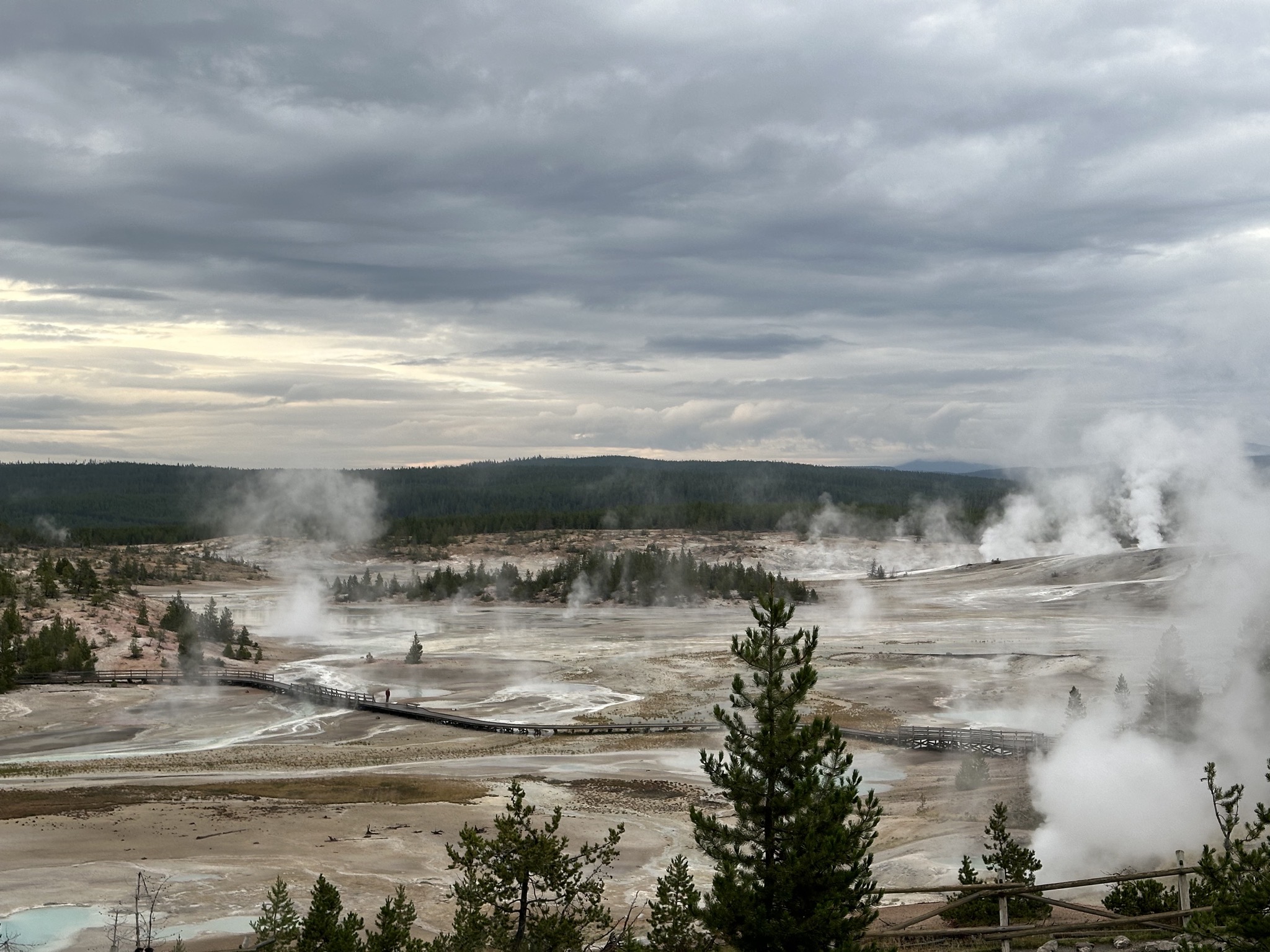 Norris Geyser Basin