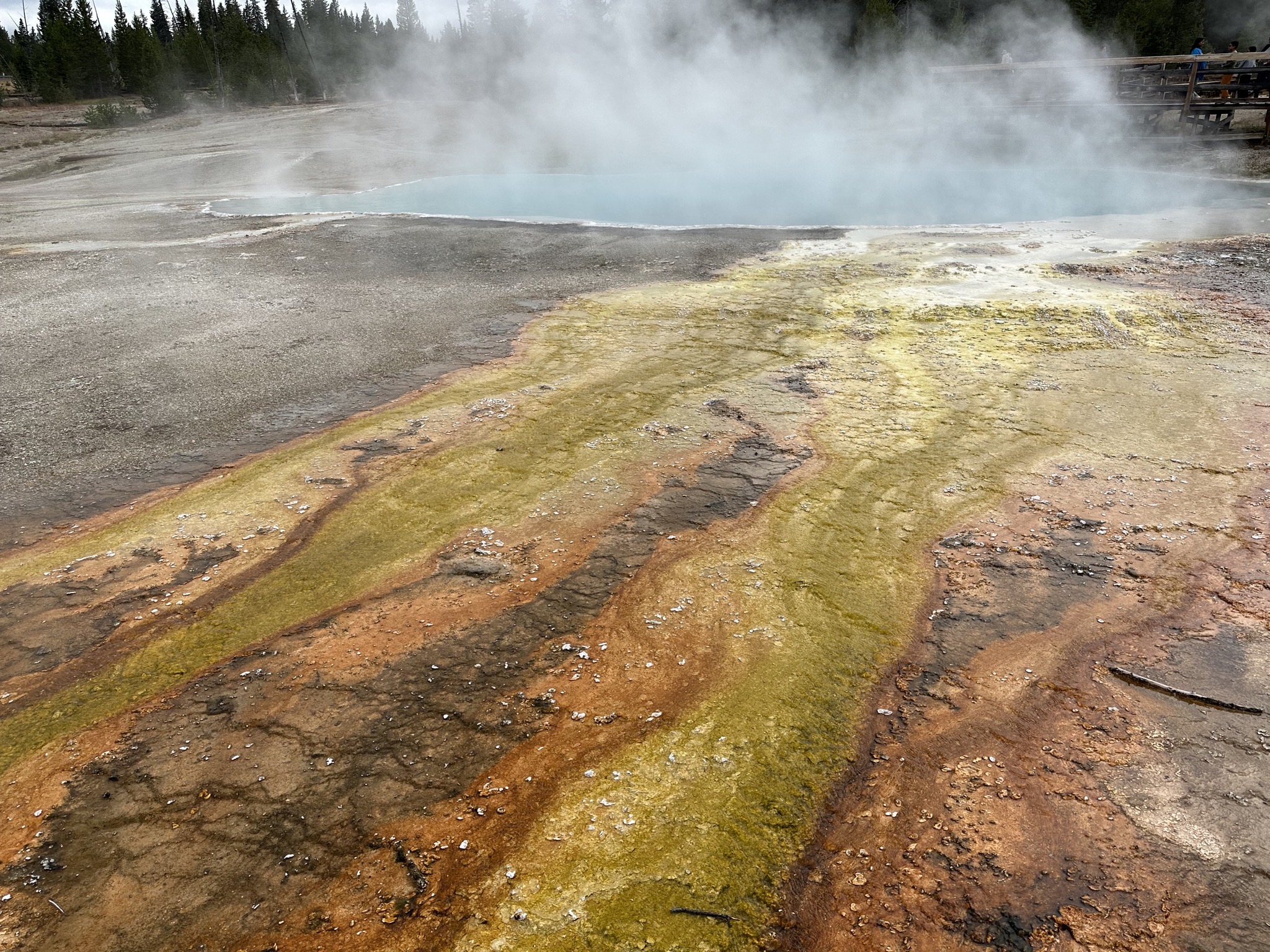 West Thumb Geyser Basin