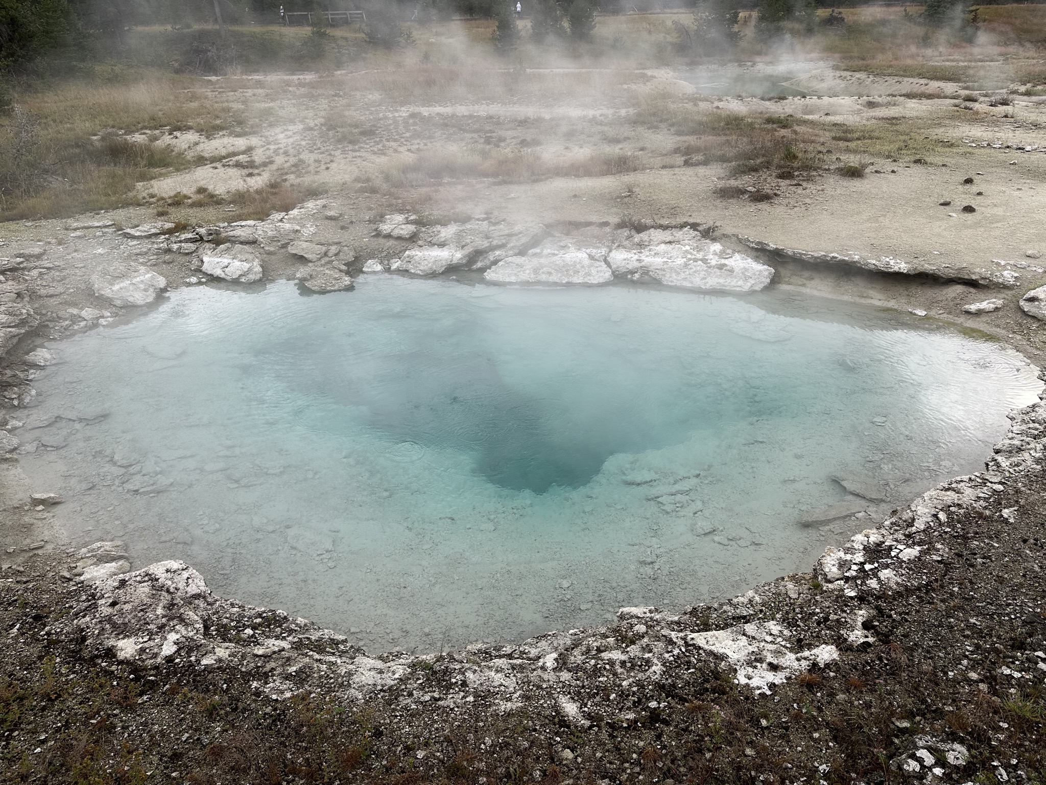 West Thumb Geyser Basin