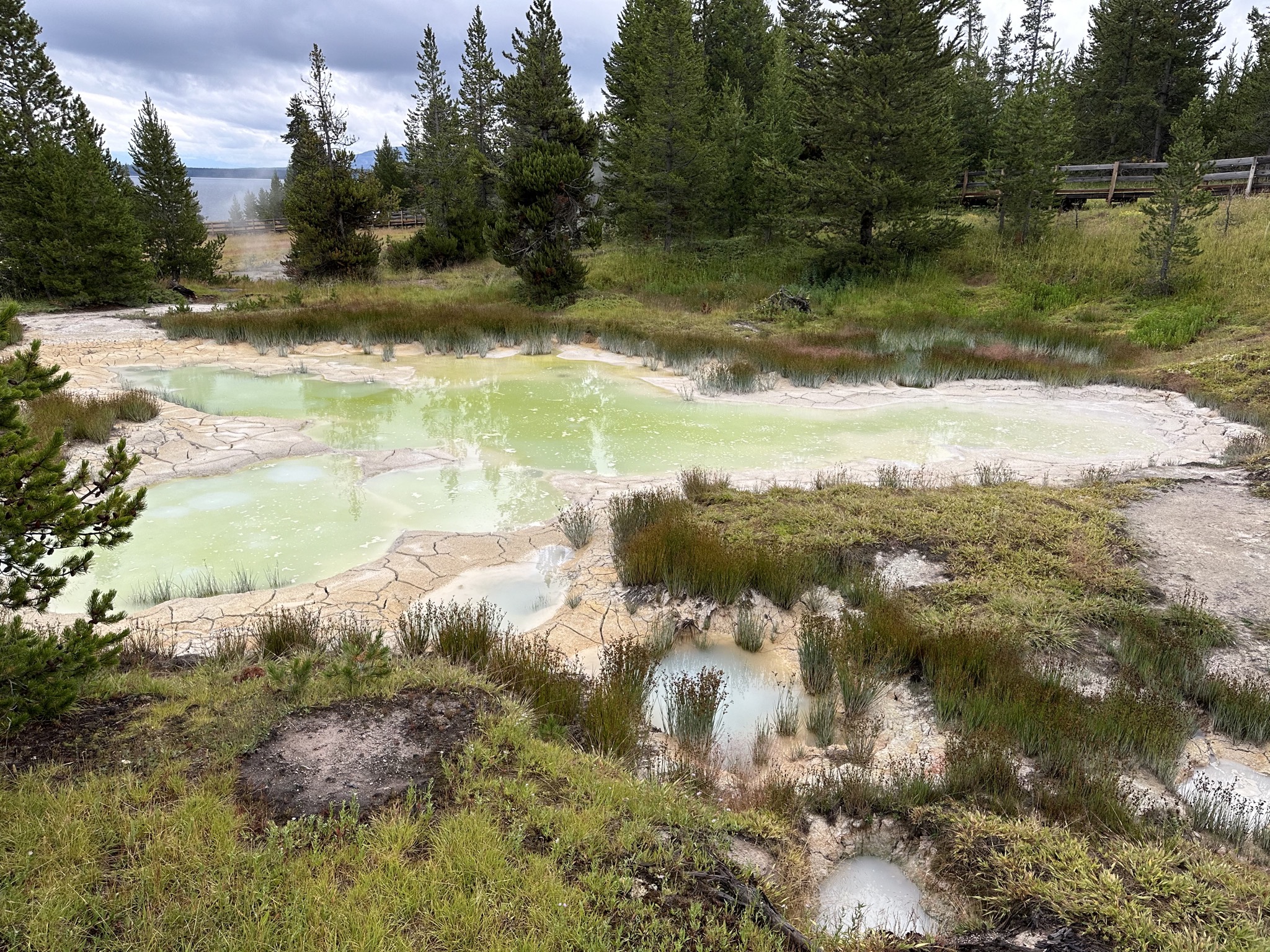 West Thumb Geyser Basin
