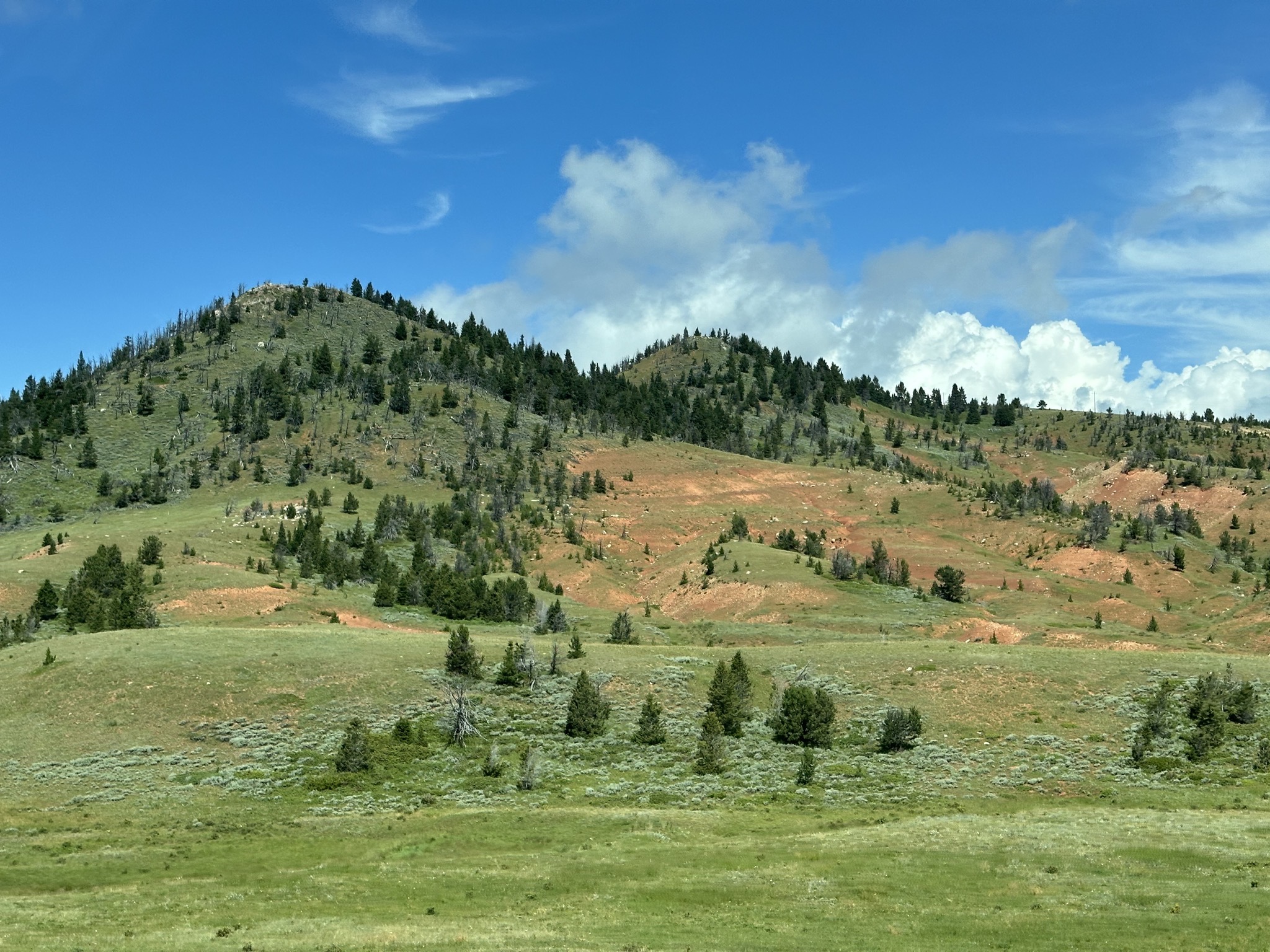 Interesting landscape