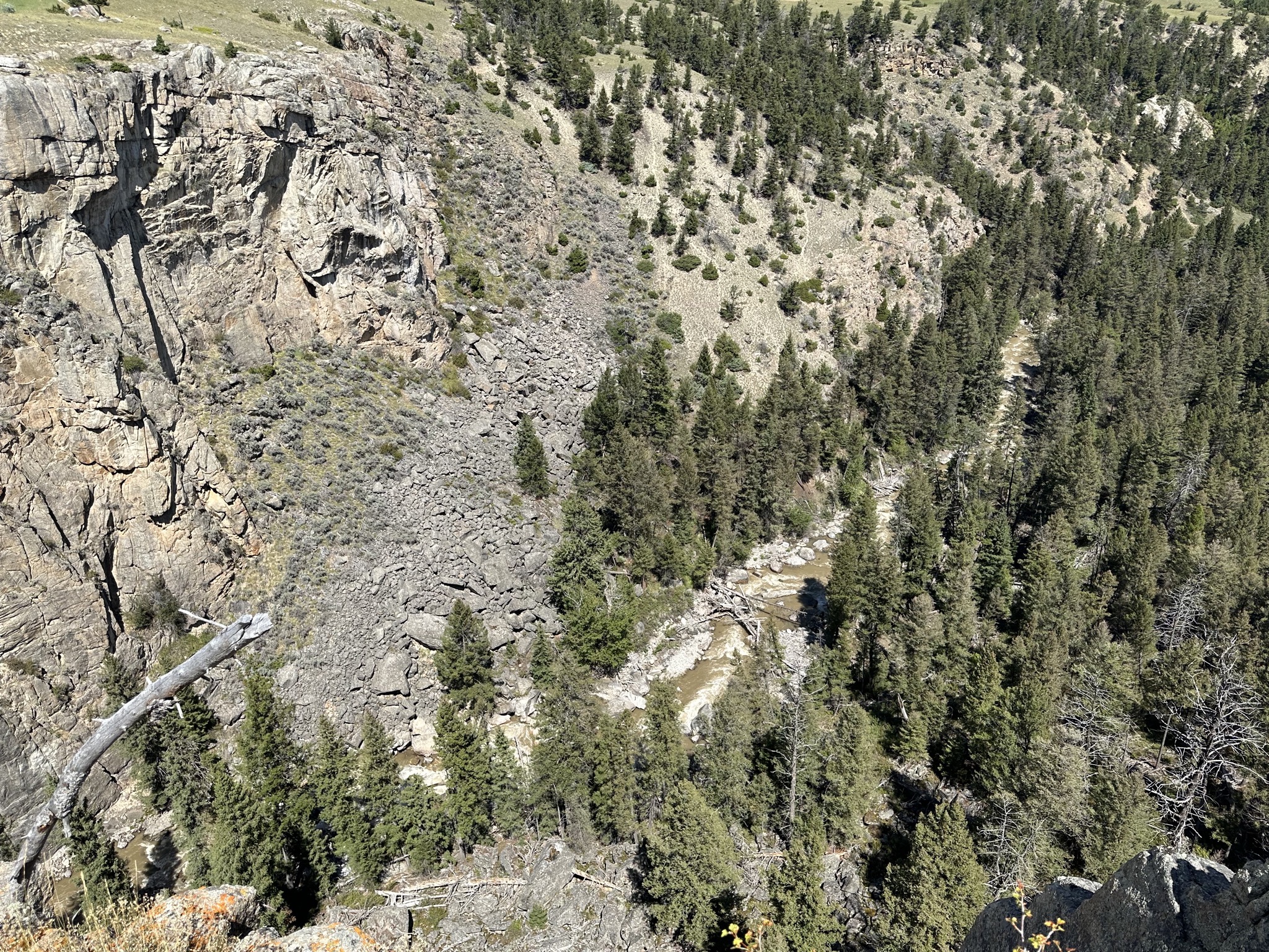 Canyon