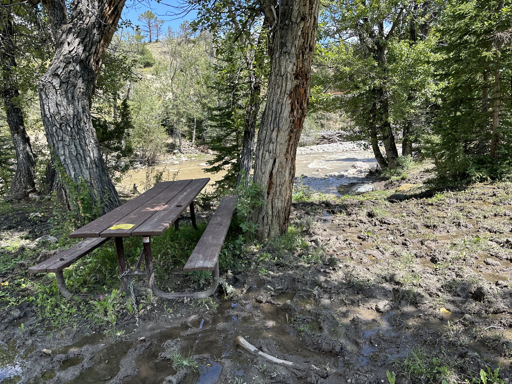 Picnic spot by river