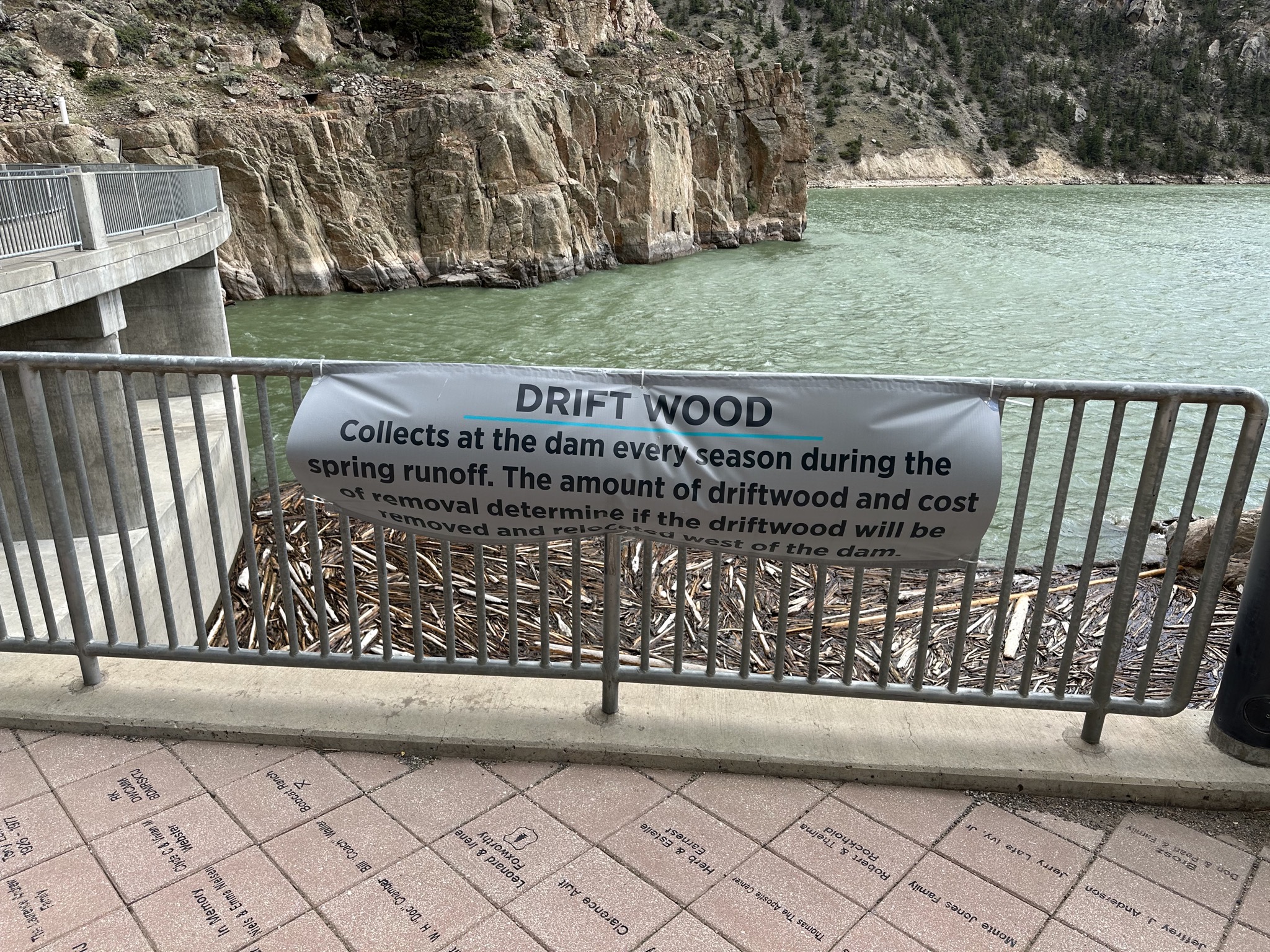 Drift wood